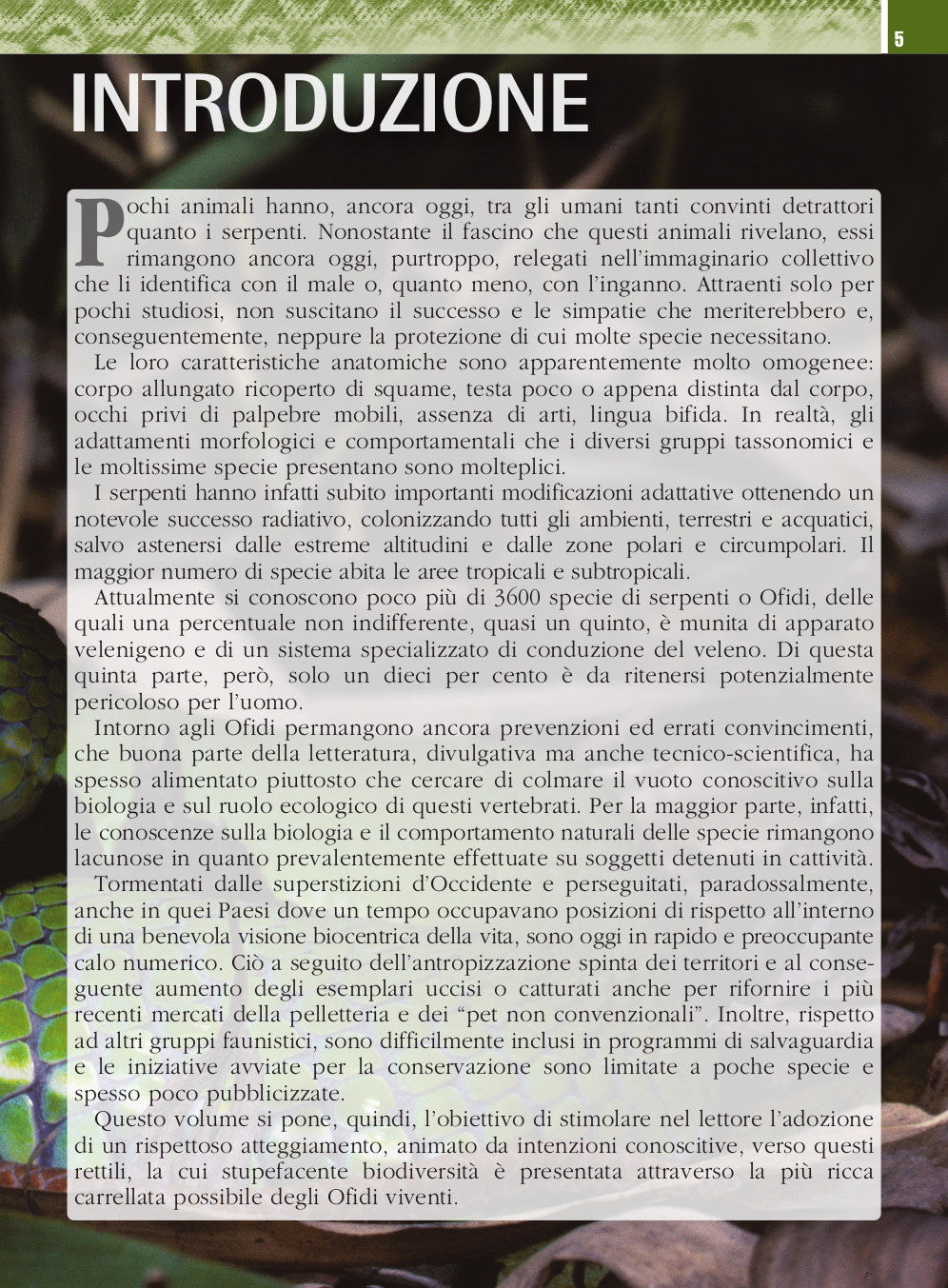 Ricca Editore Guida ai serpenti del mondo libro 800 specie foto