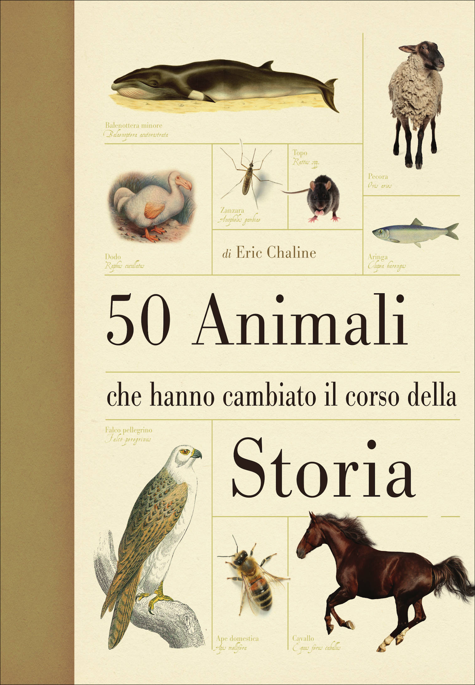 Ricca 50 animali che hanno cambiato la storia saggio