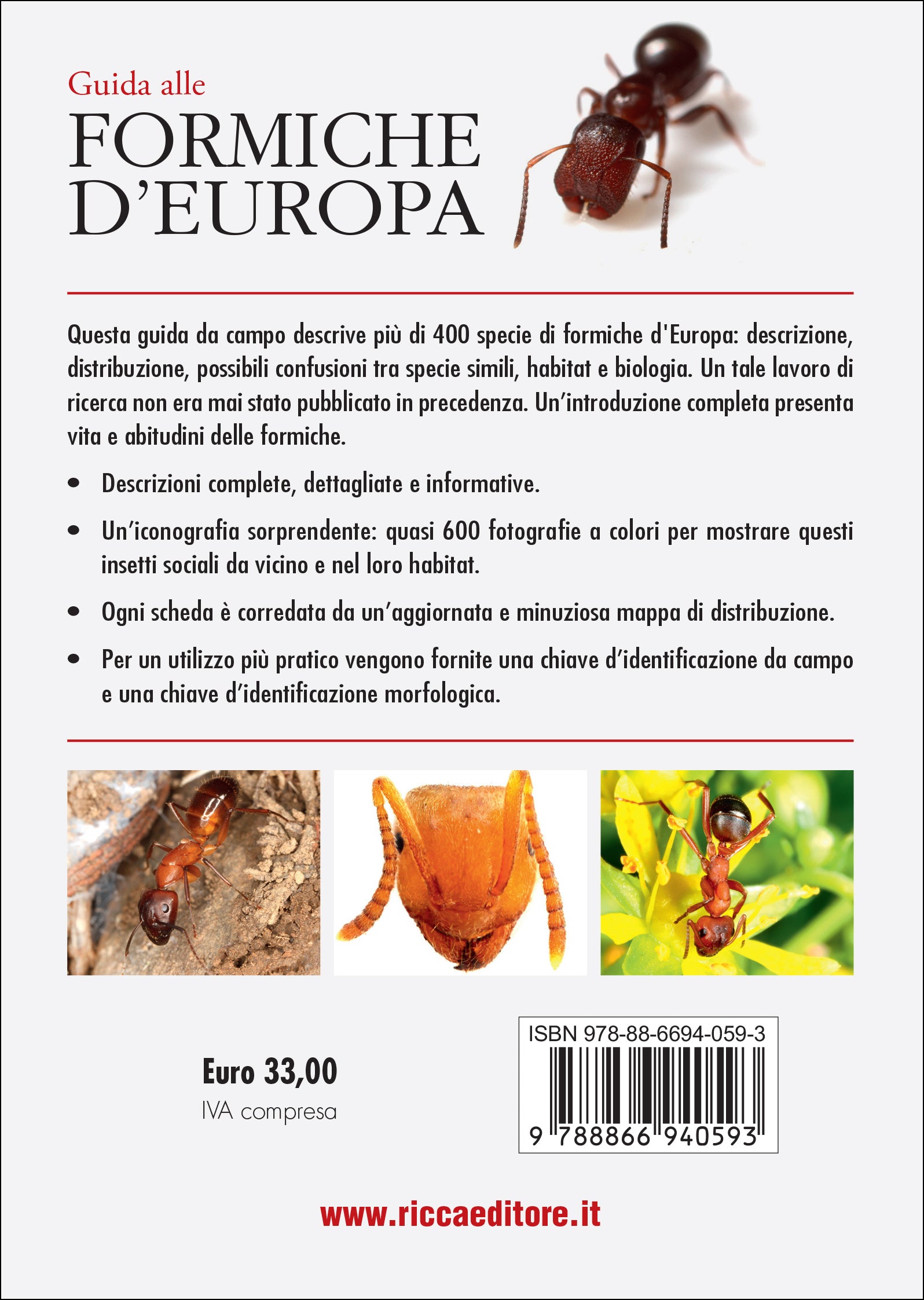 Ricca Editore Insetti Guida formiche Europa libro 400 specie