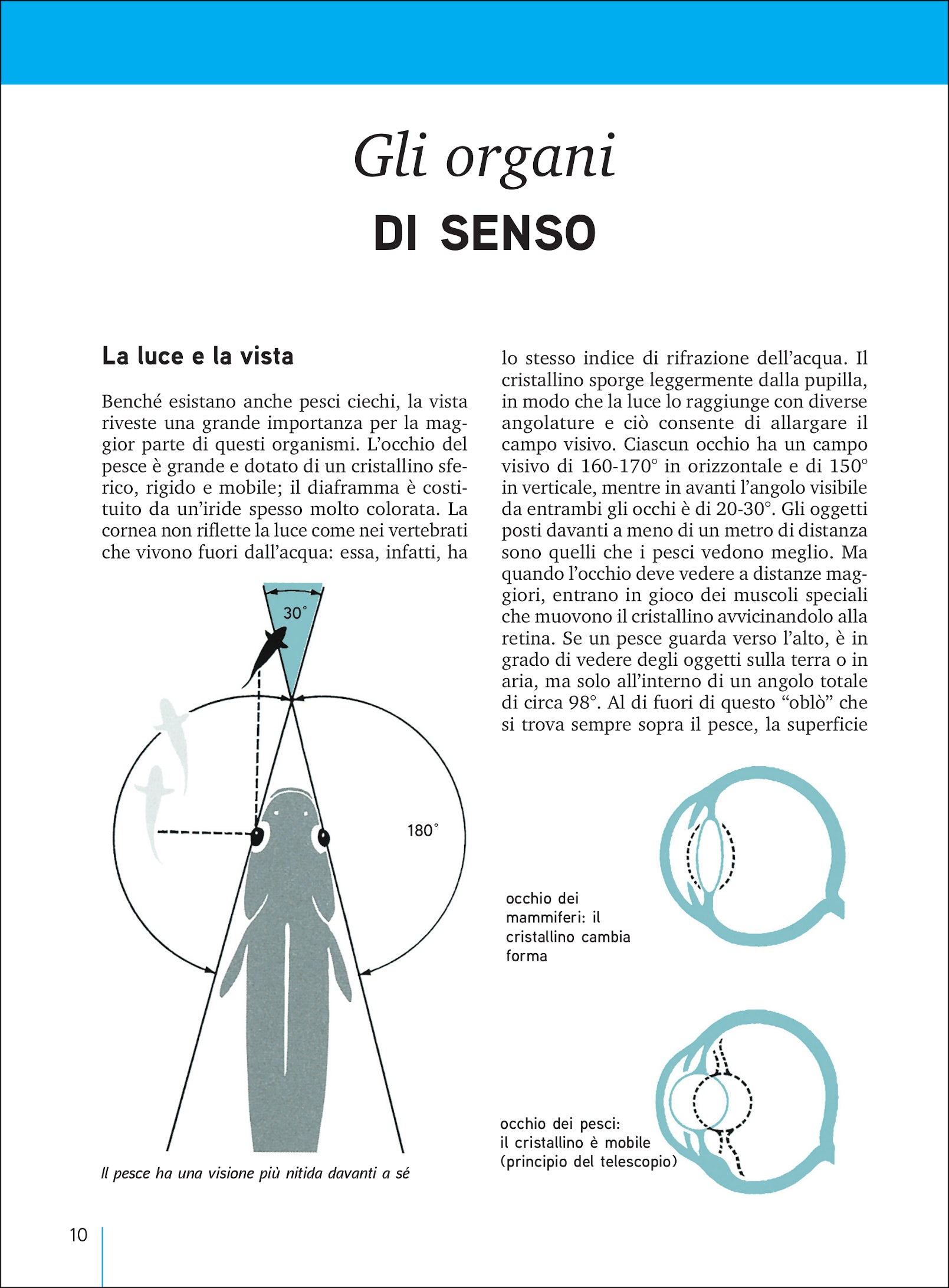 Ricca Editore Pesci acqua dolce Italia Europa manuale 155 specie