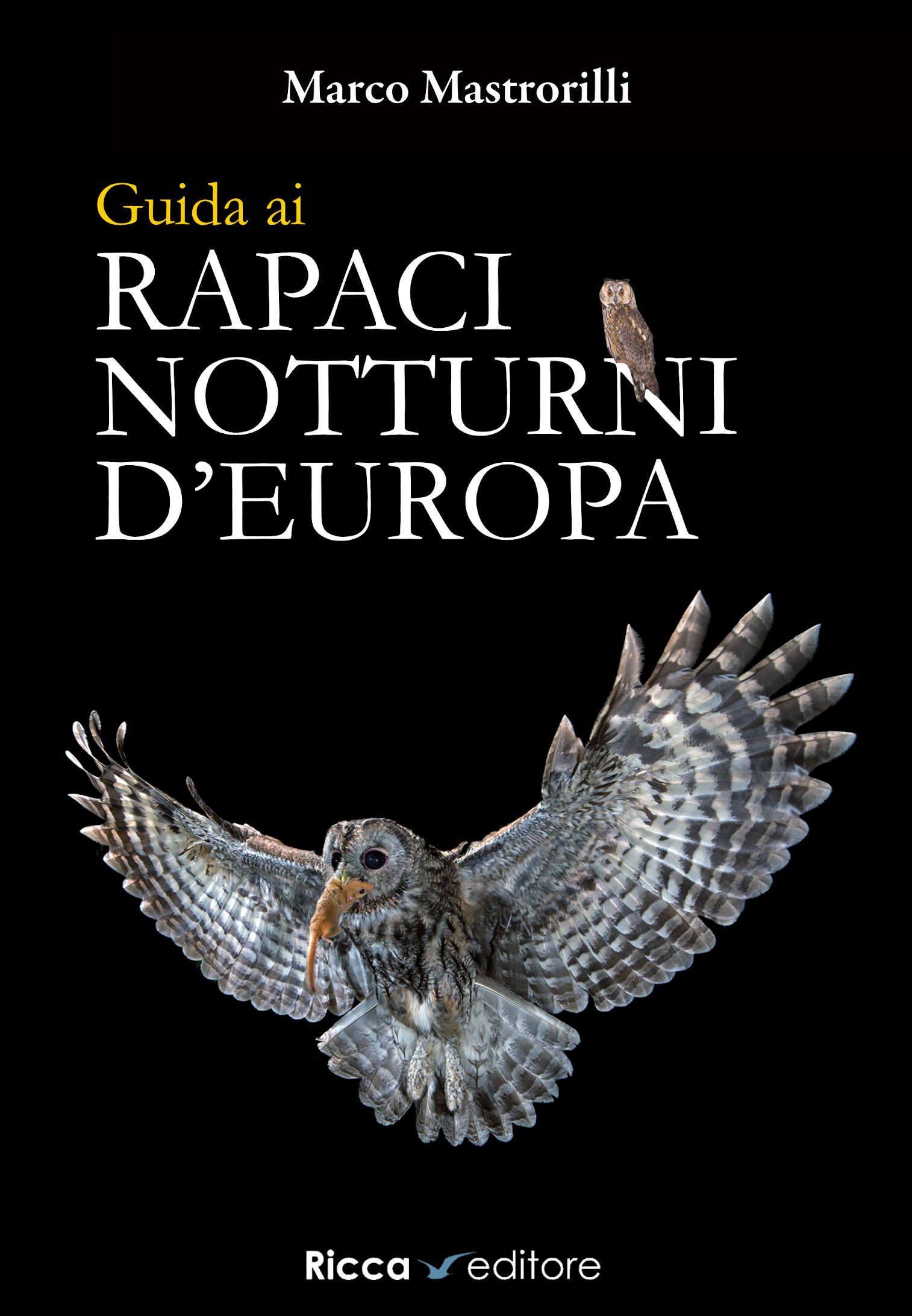 Ricca Editore Birdwatching Guida ai rapaci notturni d'Europa guida gufi