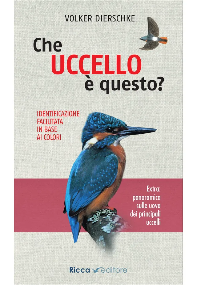 Ricca Editore Che uccello è questo? guida uccelli 440 specie tascabile