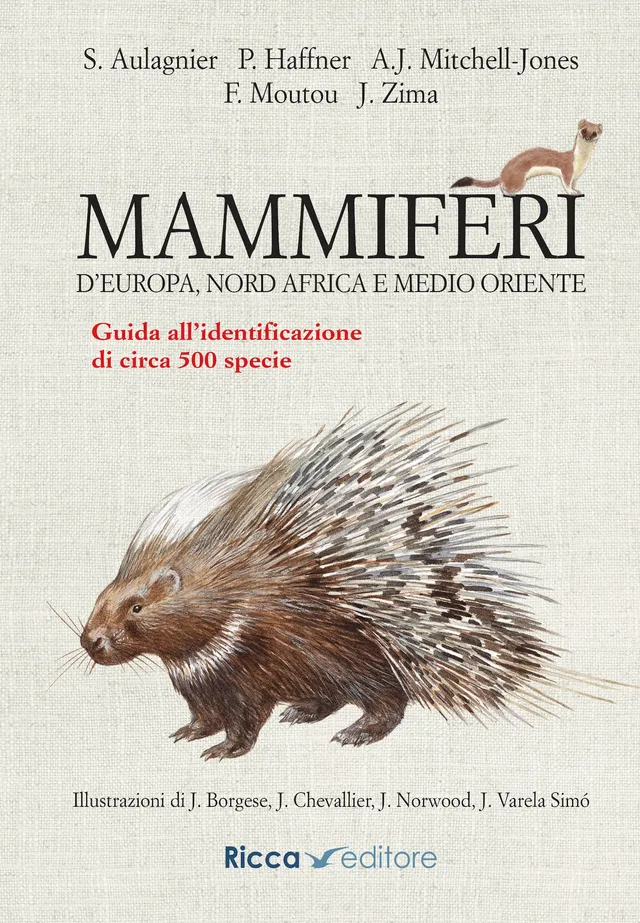 Ricca Editore Mammiferi d'Europa guida 500 specie disegni