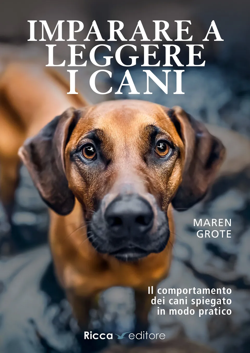 Ricca Imparare a leggere i cani Guida comportamento cani