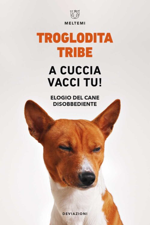 Meltemi DeviAzioni A cuccia vacci tu! libro narrativa