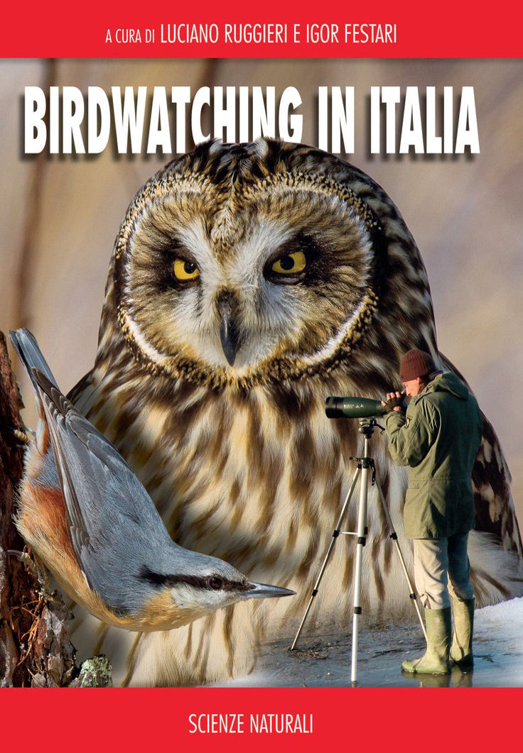 Ricca Editore Birdwatching in Italia guida luoghi osservare uccelli