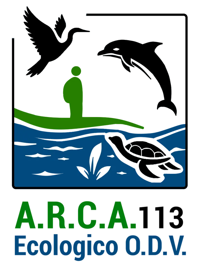 A.R.C.A. 113 Ecologico O.D.V. Iscrizioni iscrizione annuale