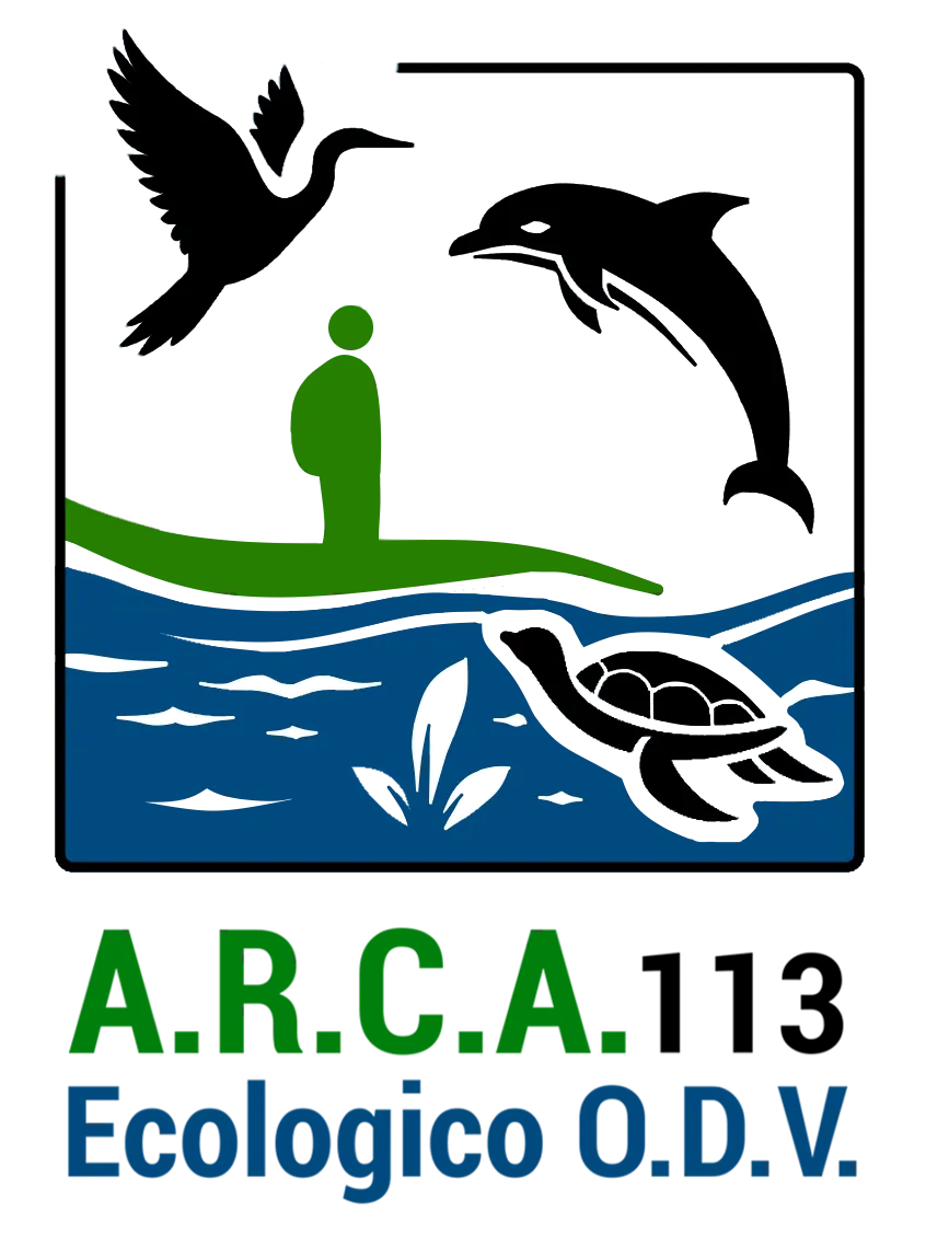A.R.C.A. 113 Ecologico O.D.V. Iscrizioni iscrizione annuale