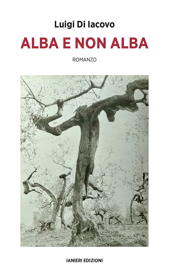 Ianieri Notturni Alba e non alba libro narrativa Meridione