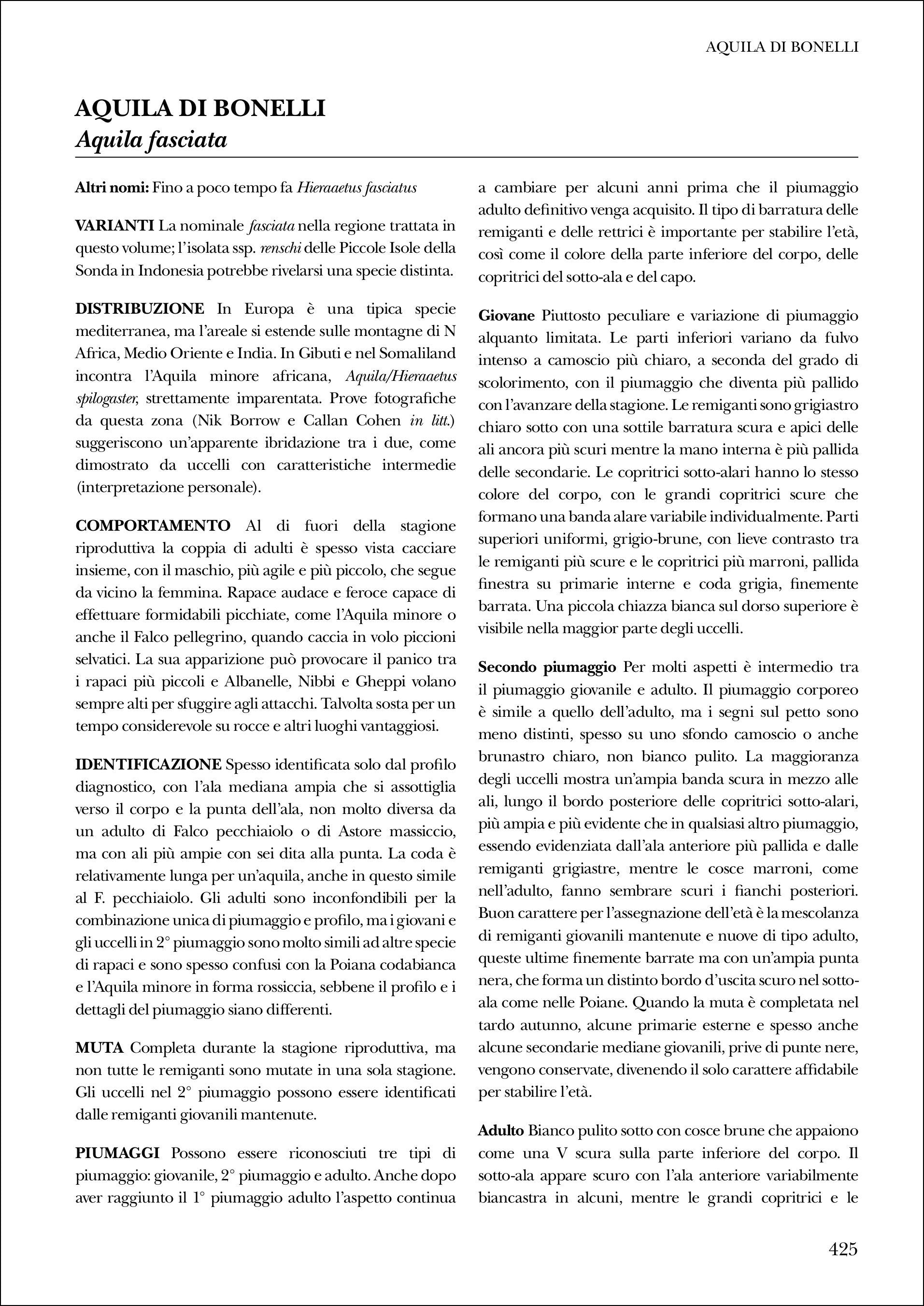Ricca Editore Birdwatching Identificare rapaci in volo guida foto