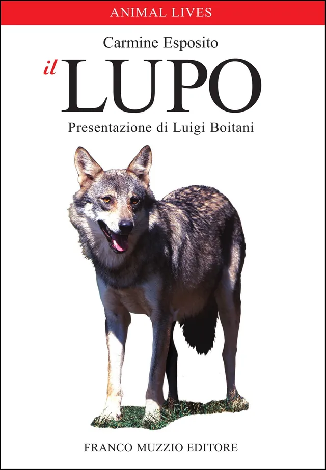 Ricca Editore Mammiferi Il lupo libro fotografico natura