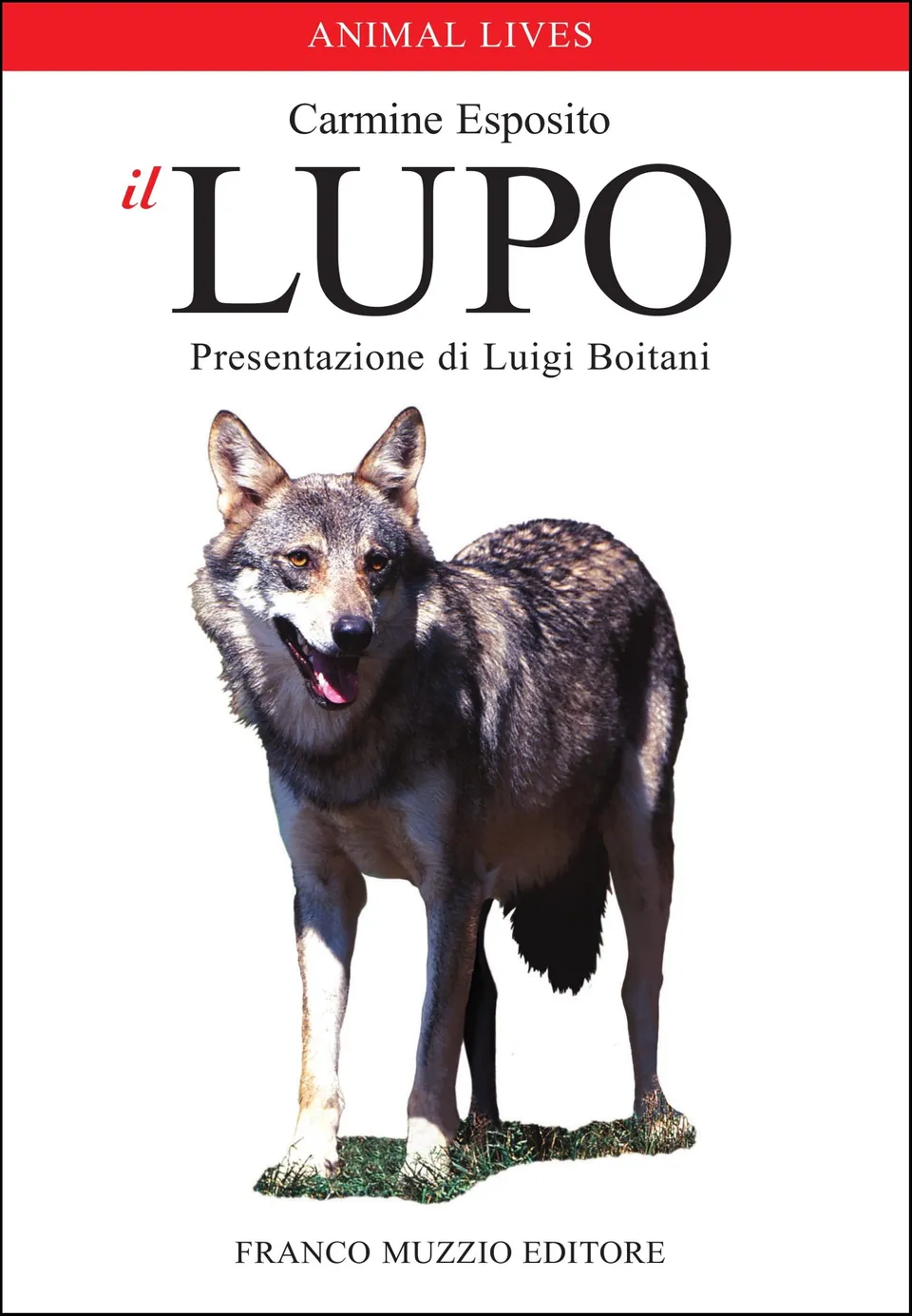 Ricca Editore Mammiferi Il lupo libro fotografico natura