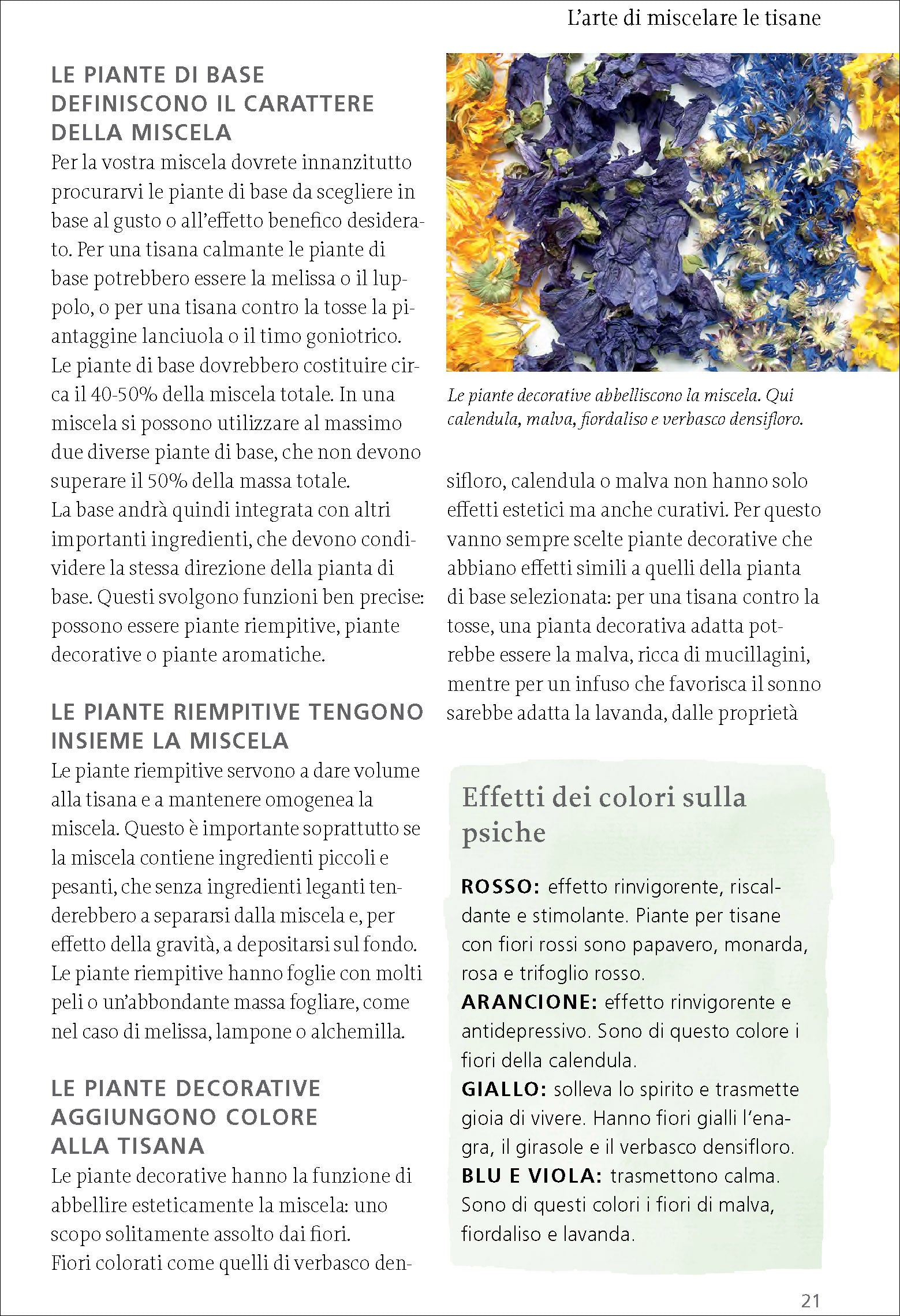 Ricca Scienze Gastronomiche Tisane erbe frutti selvatici manuale Beiser