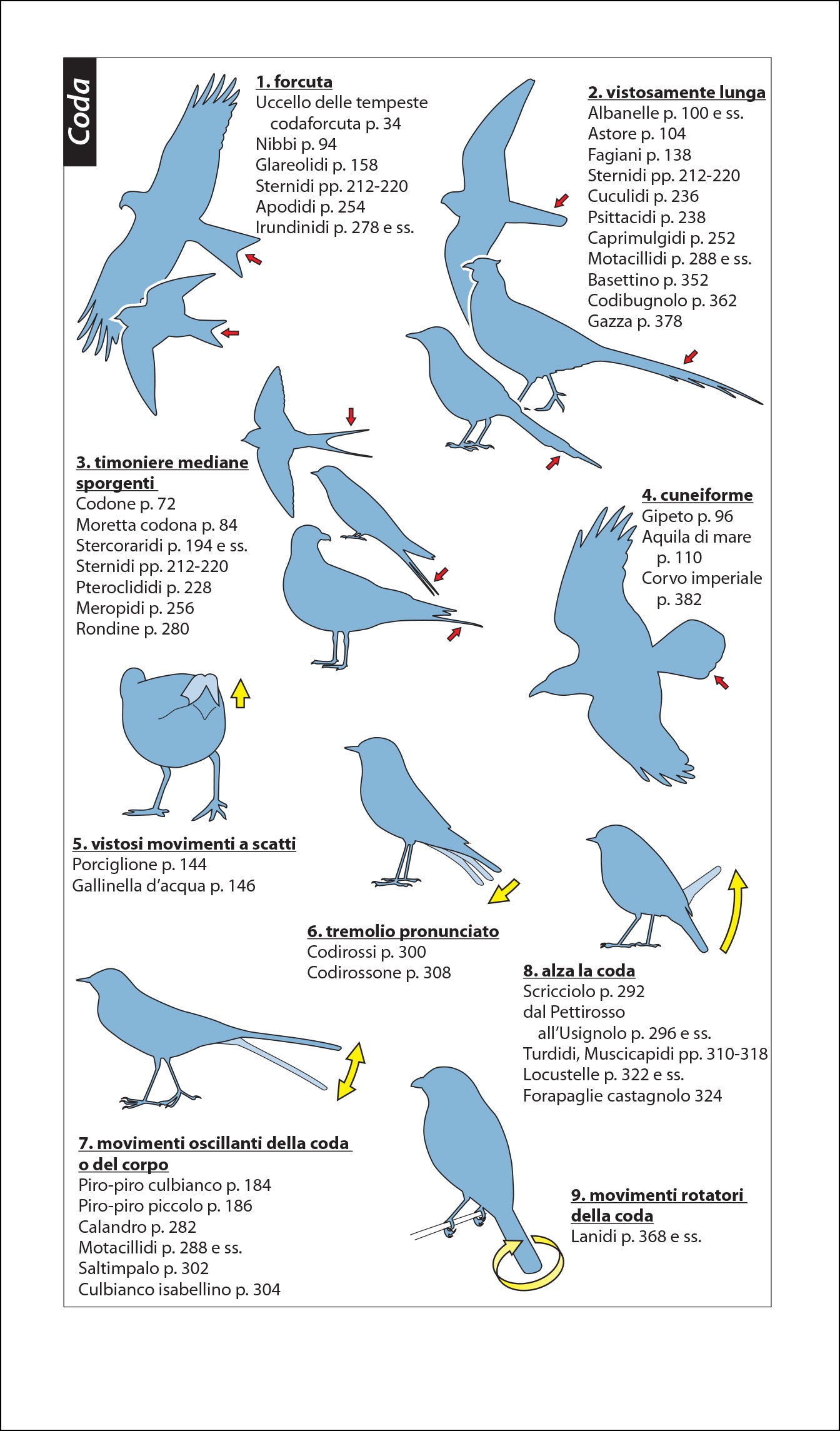 Ricca Editore Birdwatching facile guida 400 specie 1400 foto
