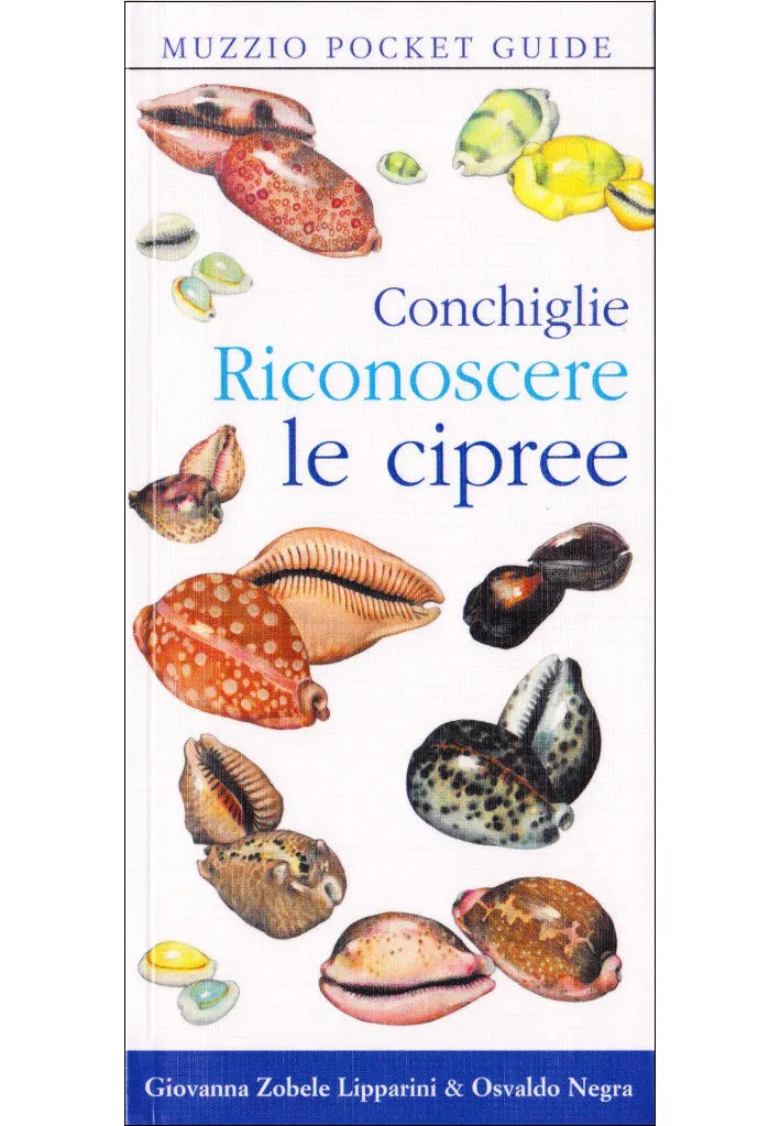 Ricca Editore Conchiglie Riconoscere cipree guida tascabile