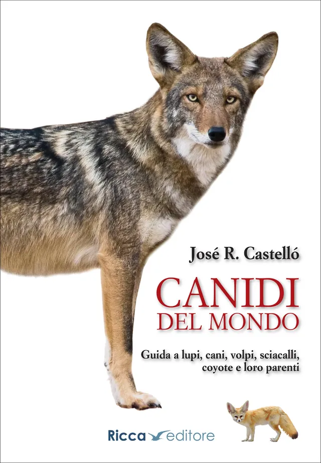 Ricca Editore Canidi del mondo libro lupi volpi 150 tavole