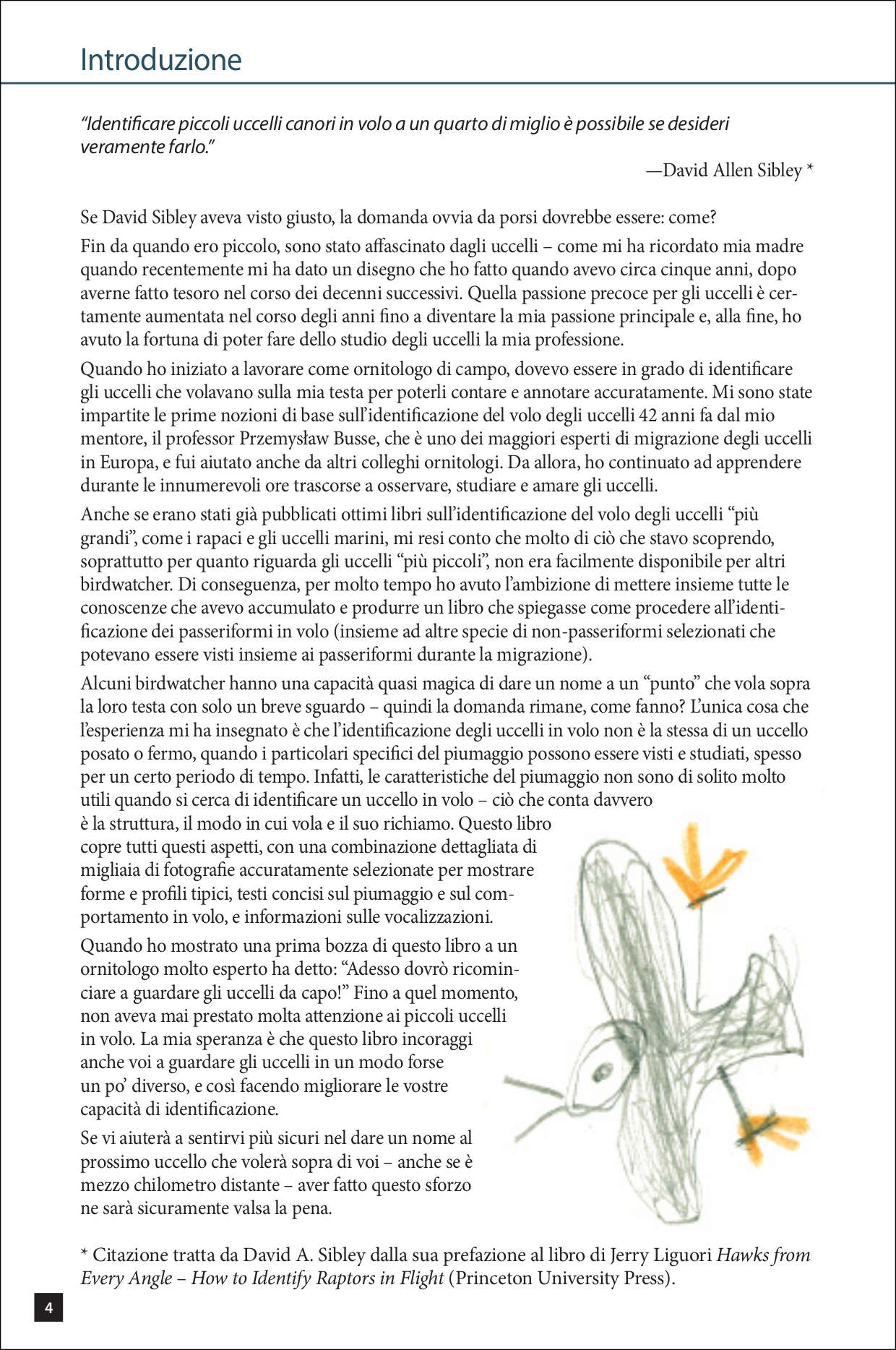 Ricca Identificare passeriformi europei volo Guida uccelli