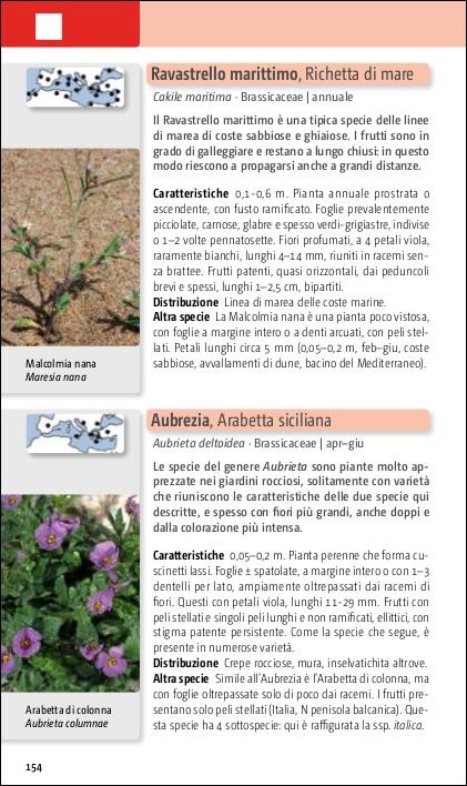 Ricca Editore Flora del Mediterraneo guida tascabile foto