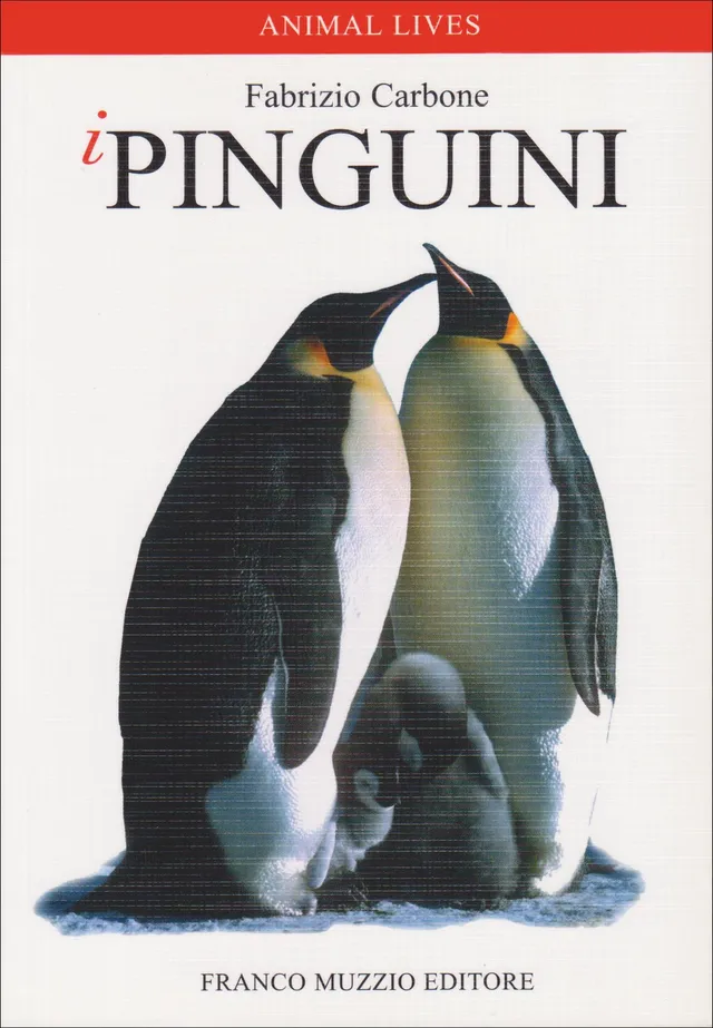 Ricca Editore I pinguini libro uccelli guida 17 specie foto