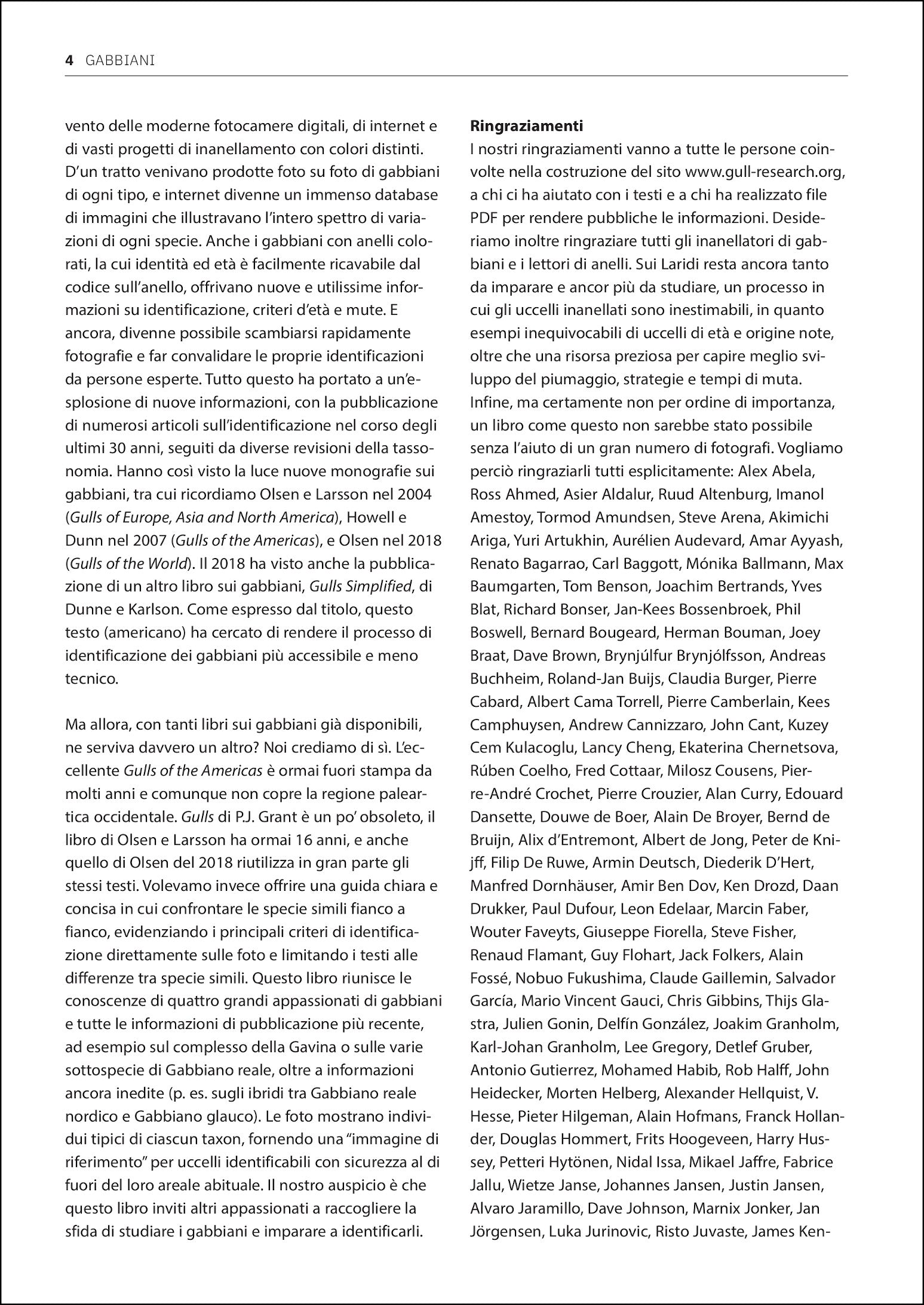 Ricca Editore Guida gabbiani Europa libro fotografico 1400 foto