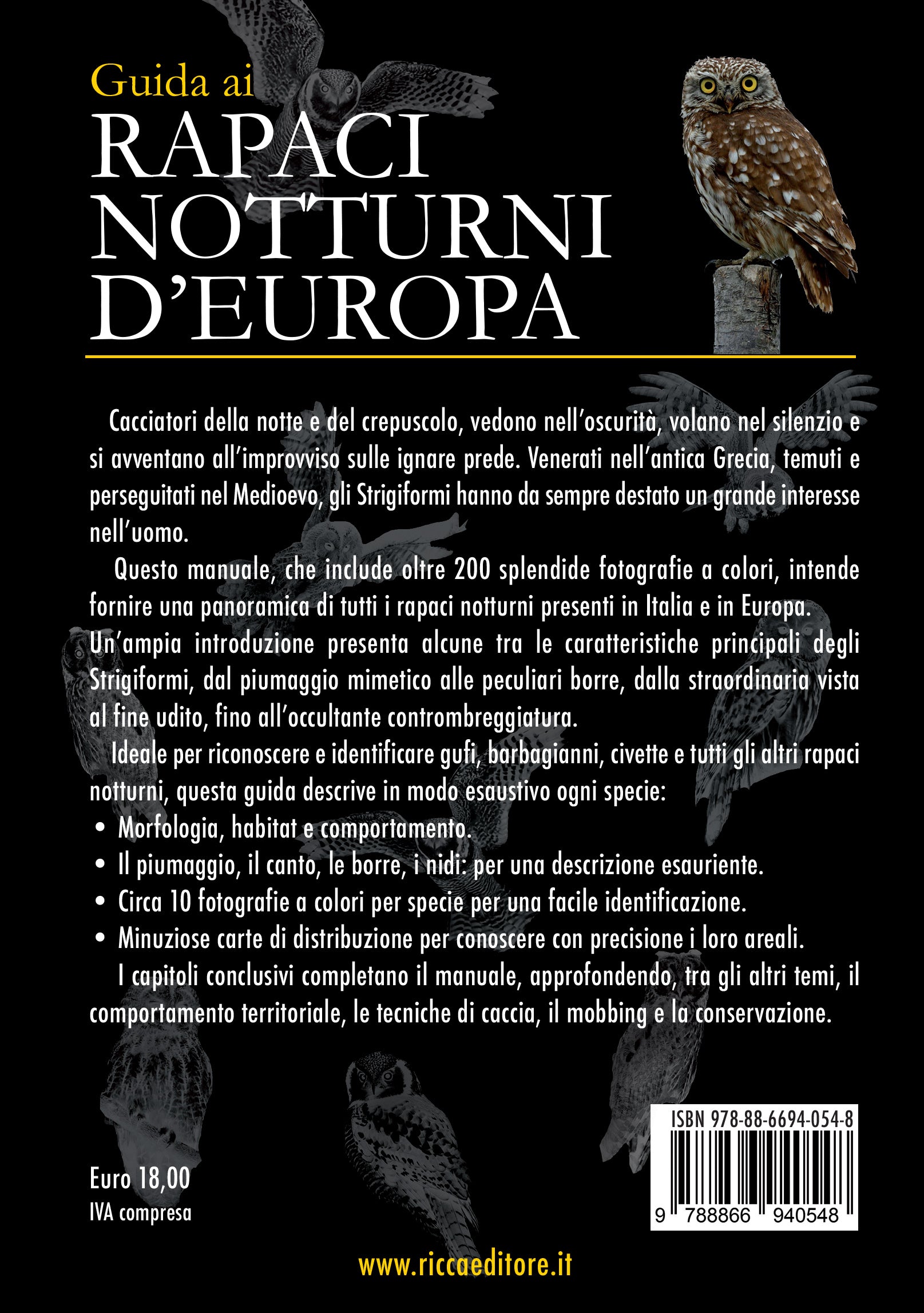 Ricca Editore Birdwatching Guida ai rapaci notturni d'Europa guida gufi