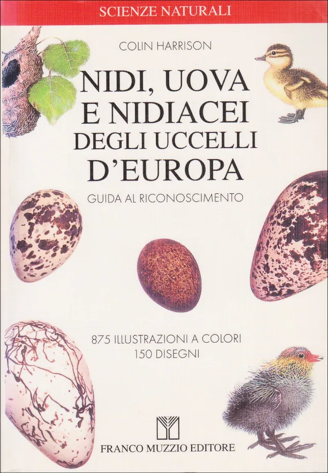 Ricca Birdwatching Nidi, uova e nidiacei uccelli Europa libro