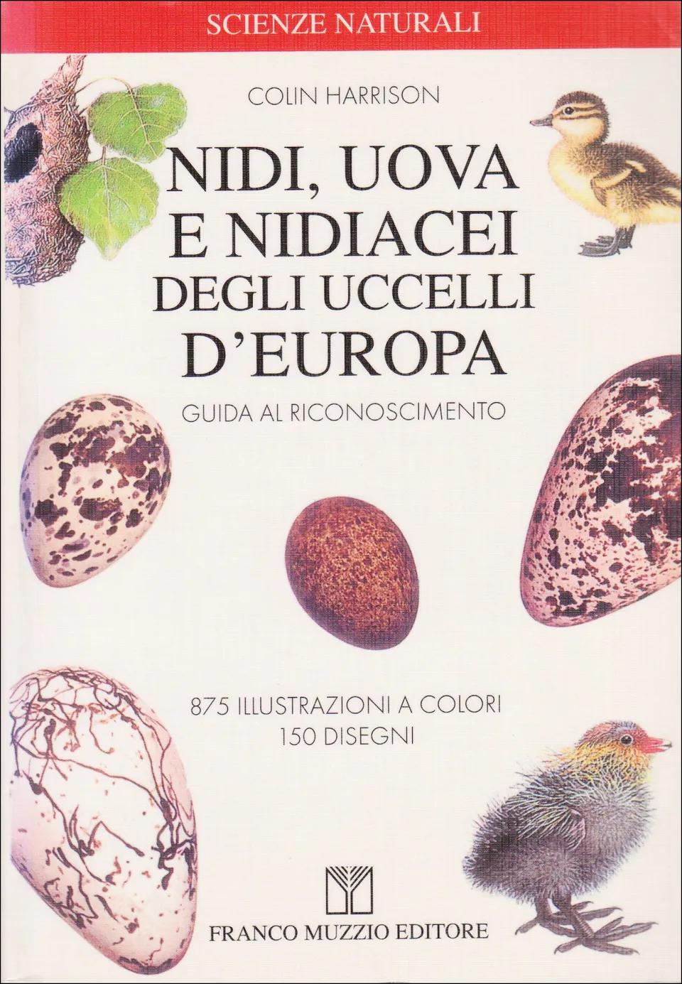 Ricca Birdwatching Nidi, uova e nidiacei uccelli Europa libro