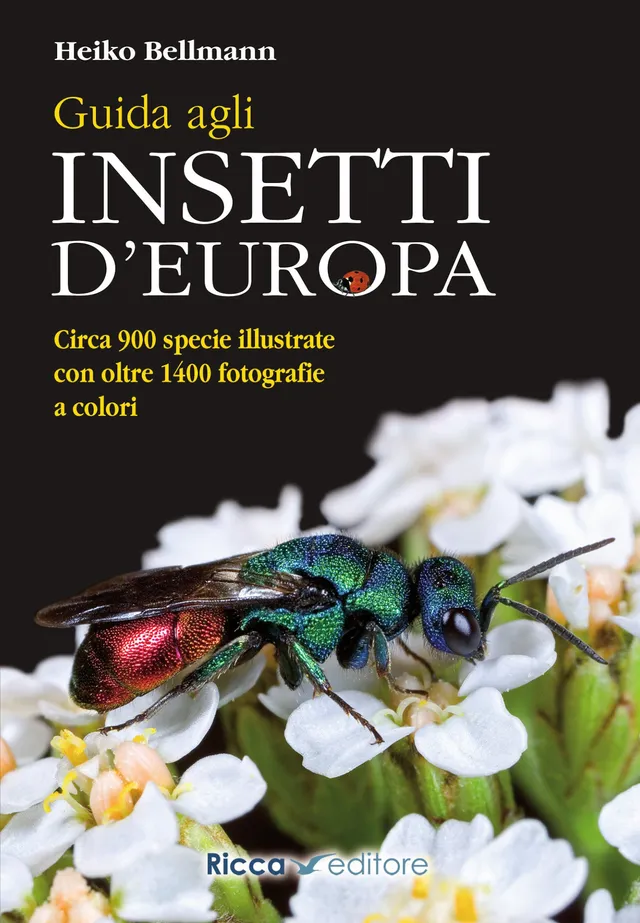 Ricca Editore Guida agli insetti d'Europa libro 900 specie 1400 foto