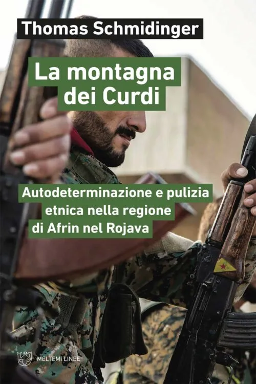 Meltemi Linee La montagna dei Curdi libro storia cartaceo