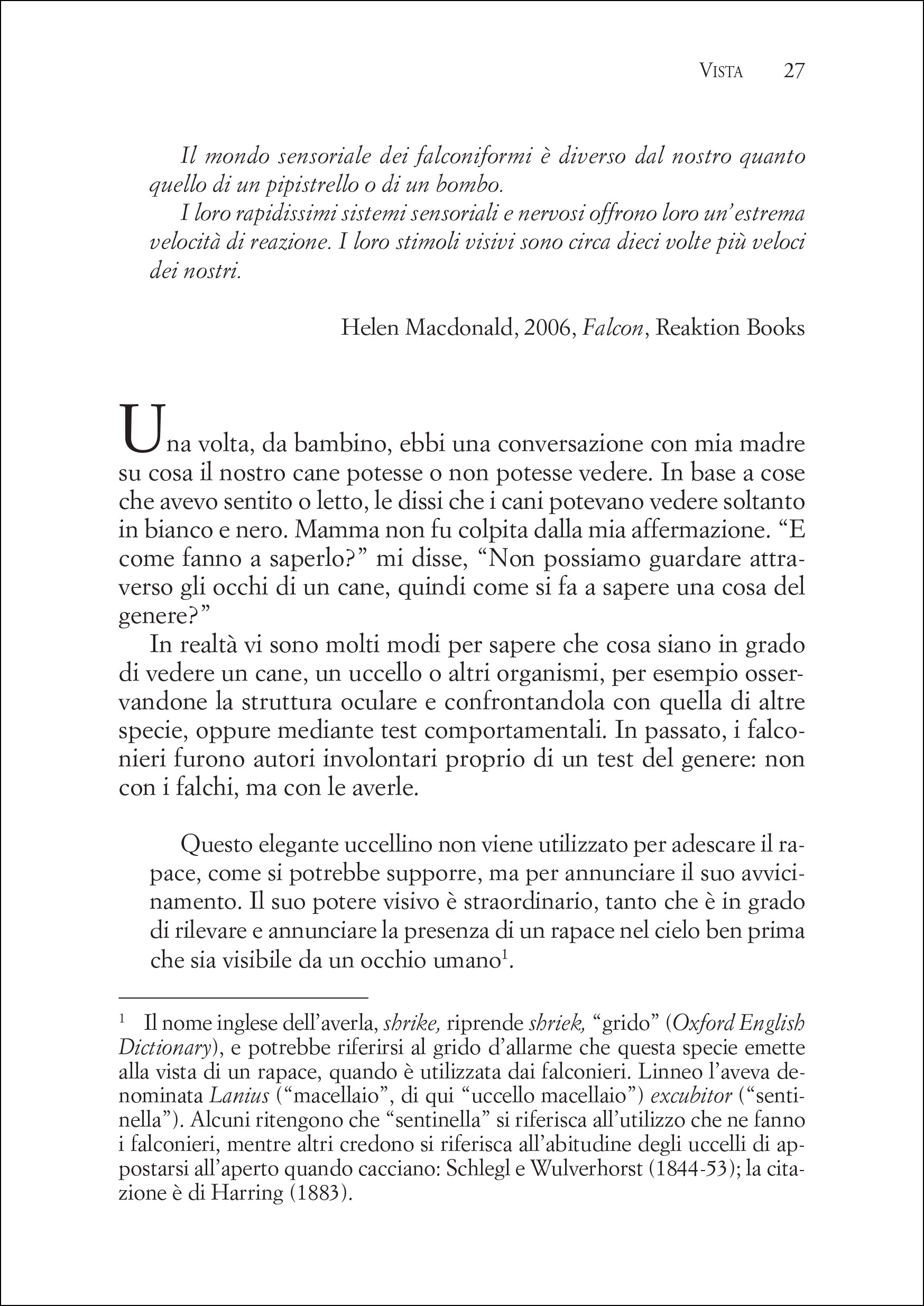 Ricca Editore Etologia I sensi degli uccelli libro saggio vista udito