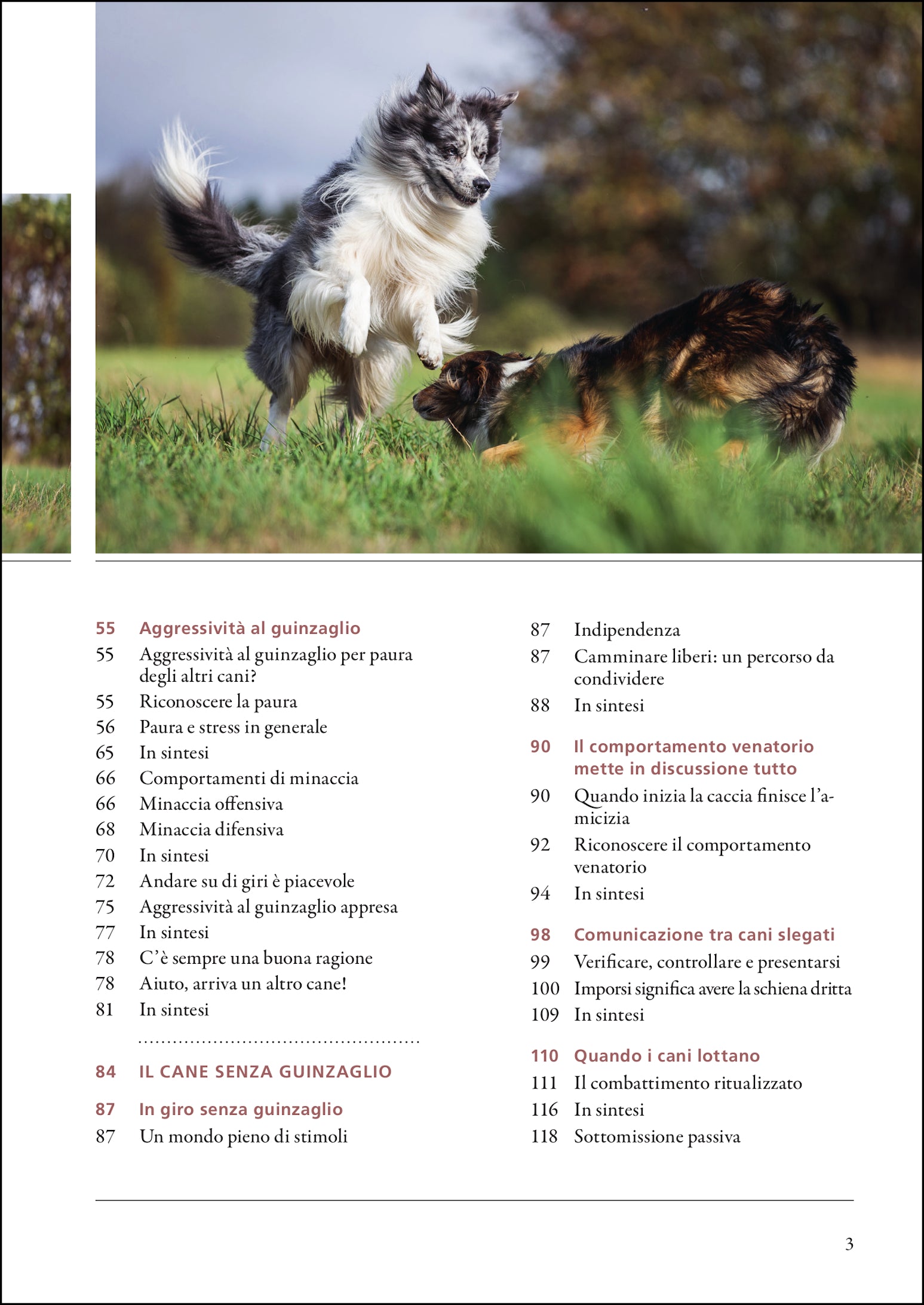 Ricca Imparare a leggere i cani Guida comportamento cani