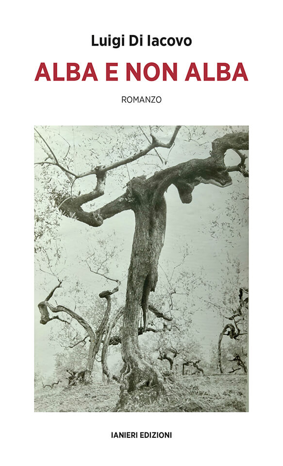 Ianieri Notturni Alba e non alba libro narrativa Meridione