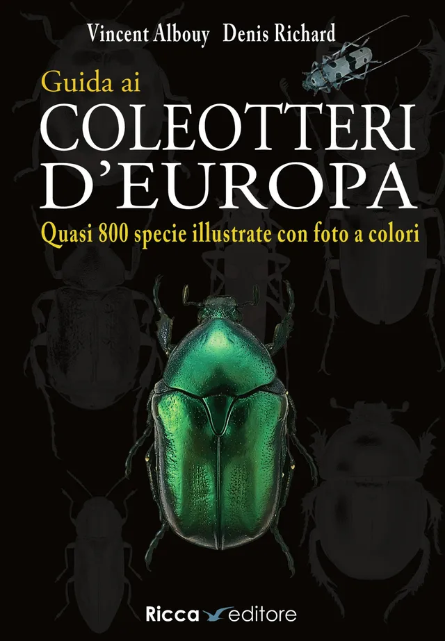 Ricca Editore Guida ai coleotteri d'Europa libro insetti foto