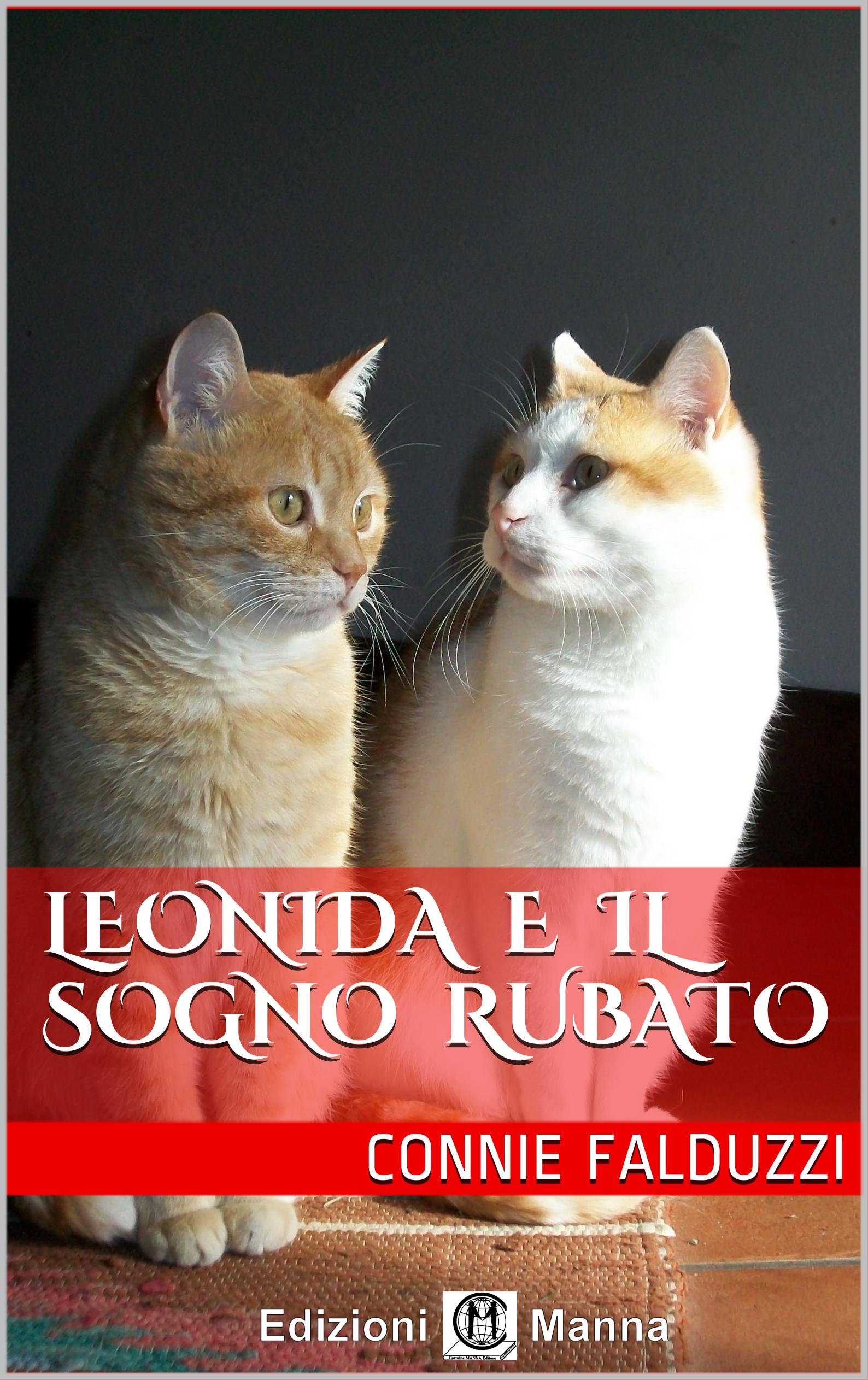 Manna Edizioni Narrativa Leonida e il sogno rubato libro bambini