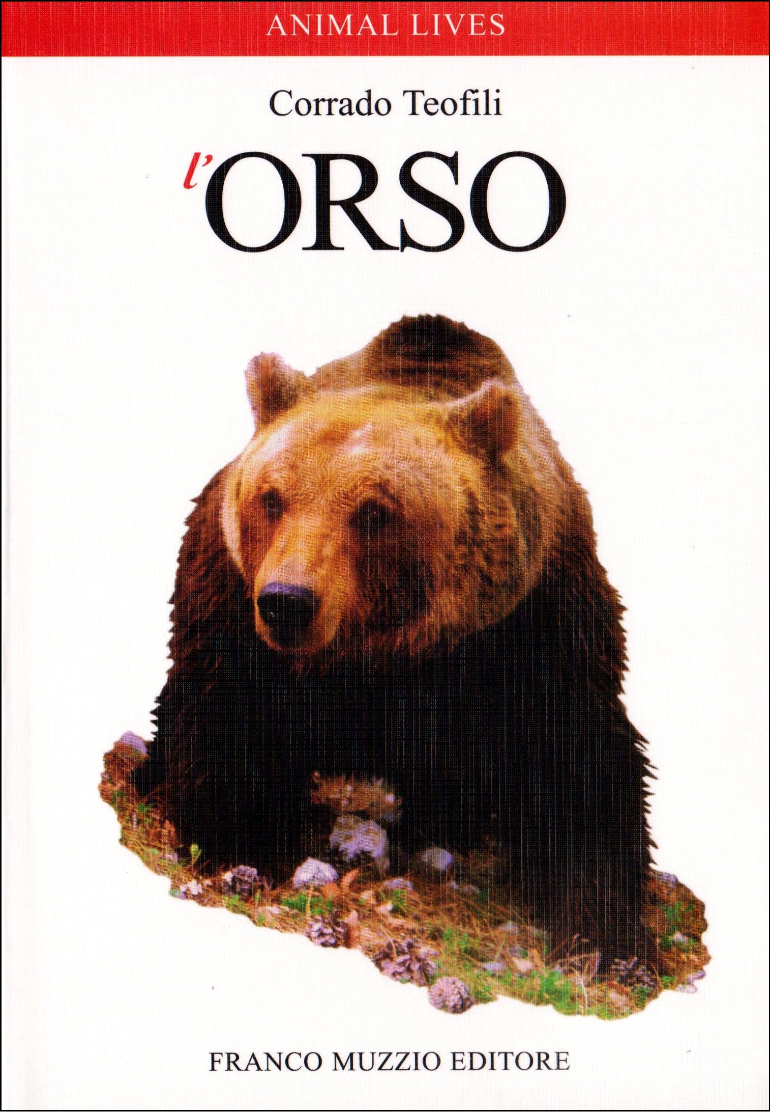 Ricca Editore L'orso libro mammiferi fotografico conservazione