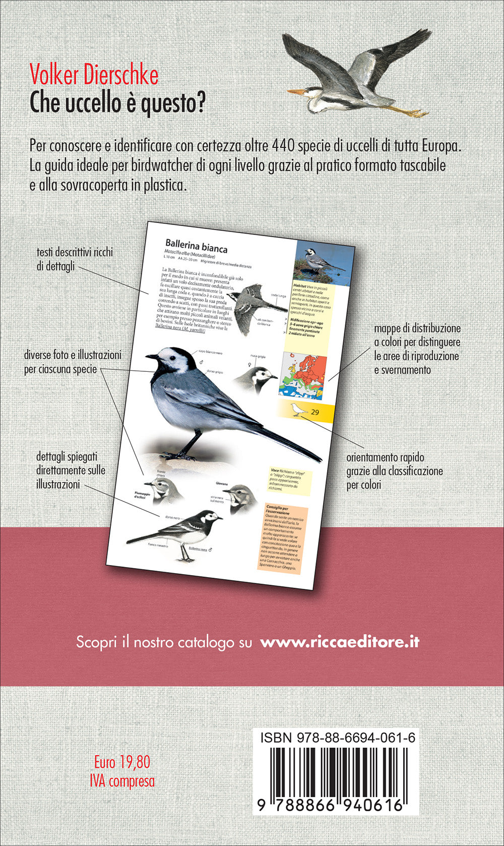 Ricca Editore Che uccello è questo? guida uccelli 440 specie tascabile