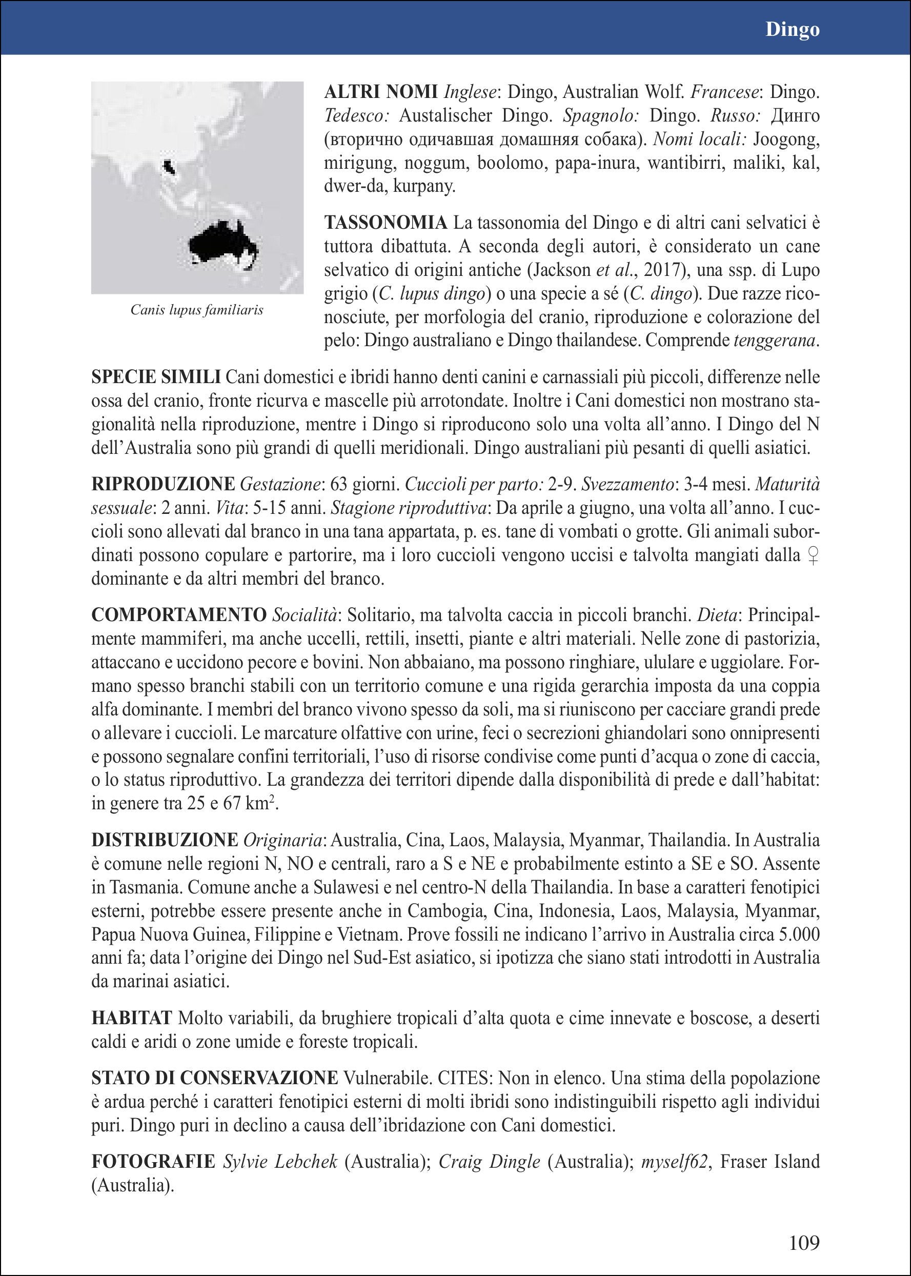 Ricca Editore Canidi del mondo libro lupi volpi 150 tavole
