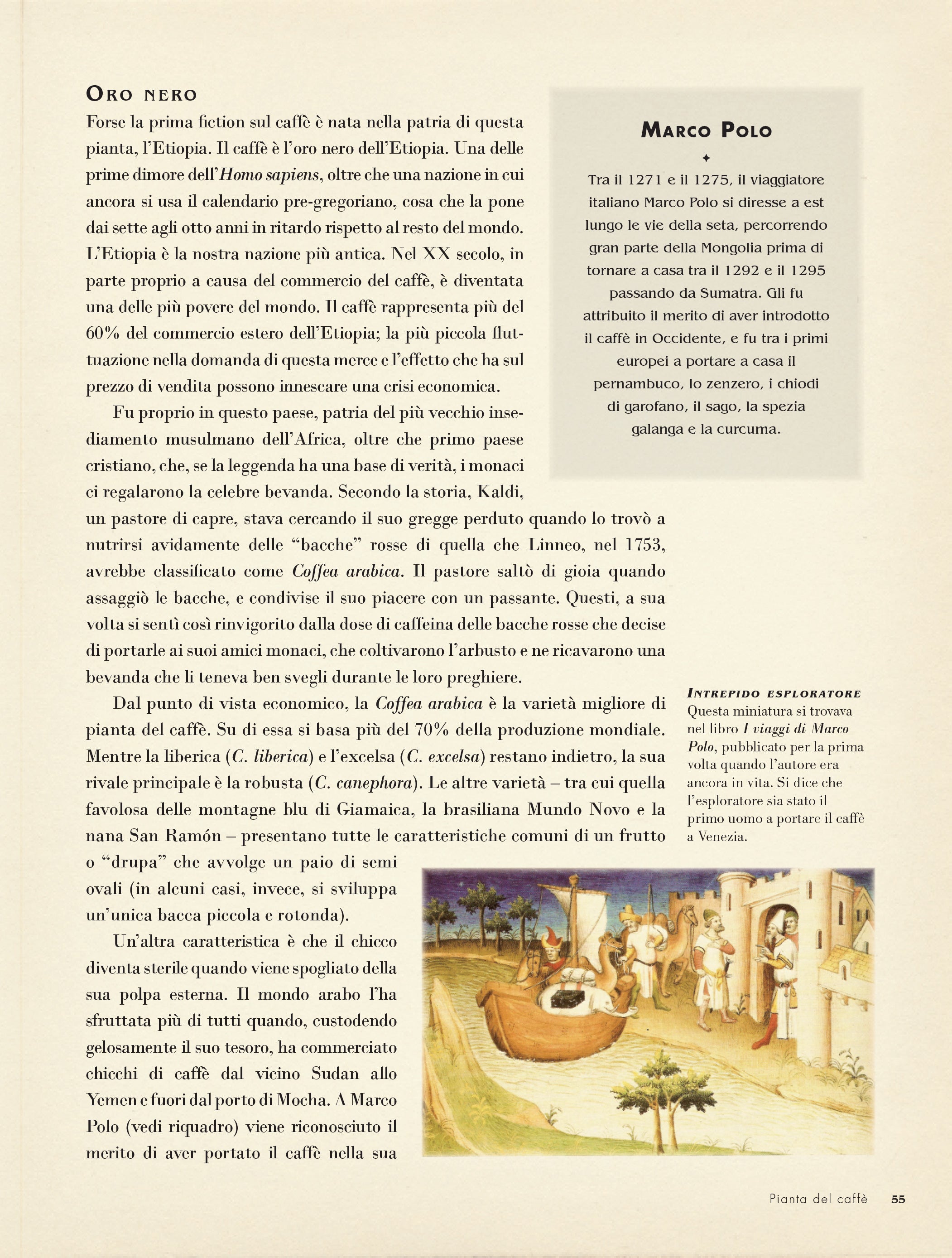 Ricca Storia e Natura 50 piante che hanno cambiato storia libro