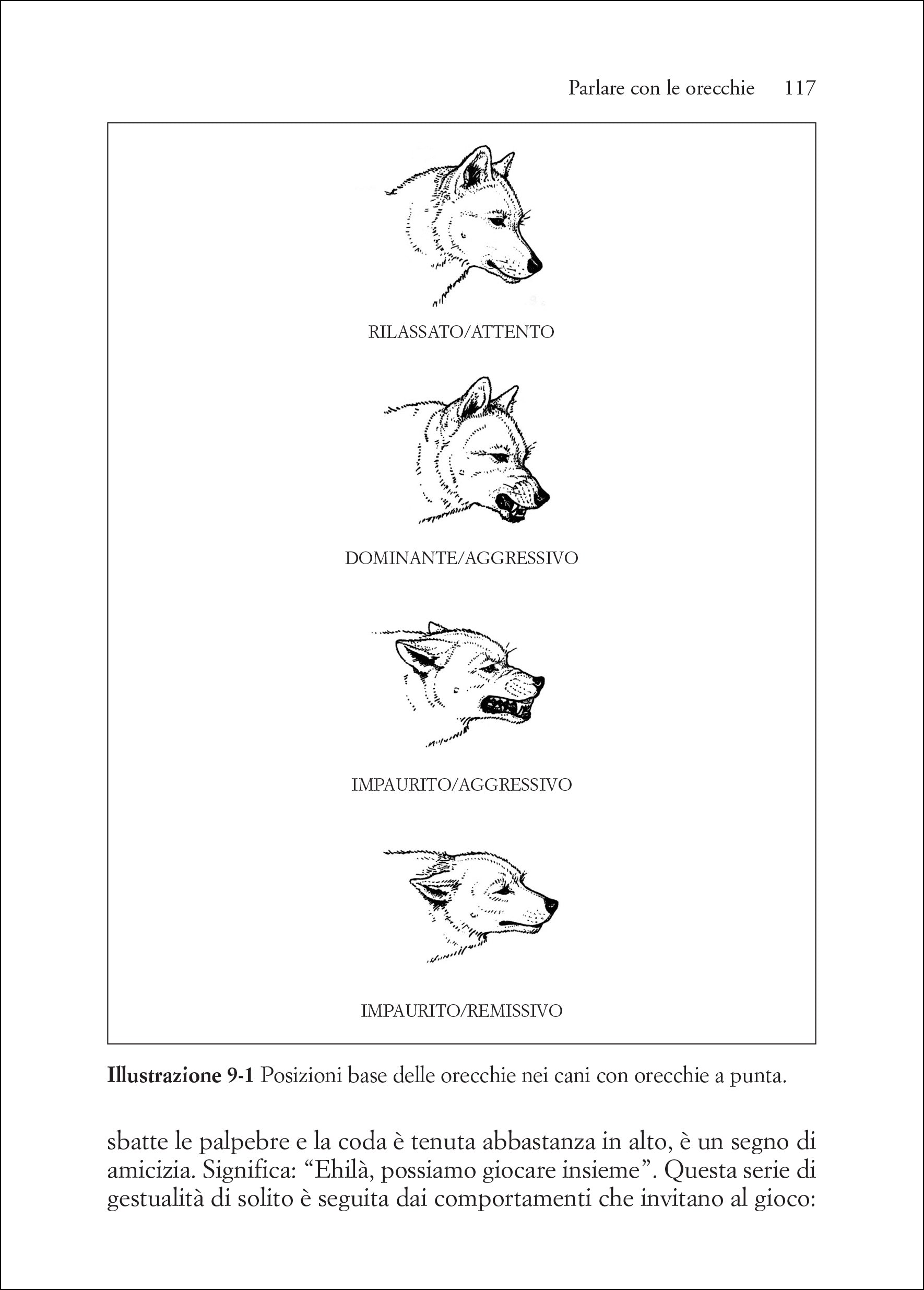Ricca Editore Capire il linguaggio dei cani libro cinofilia