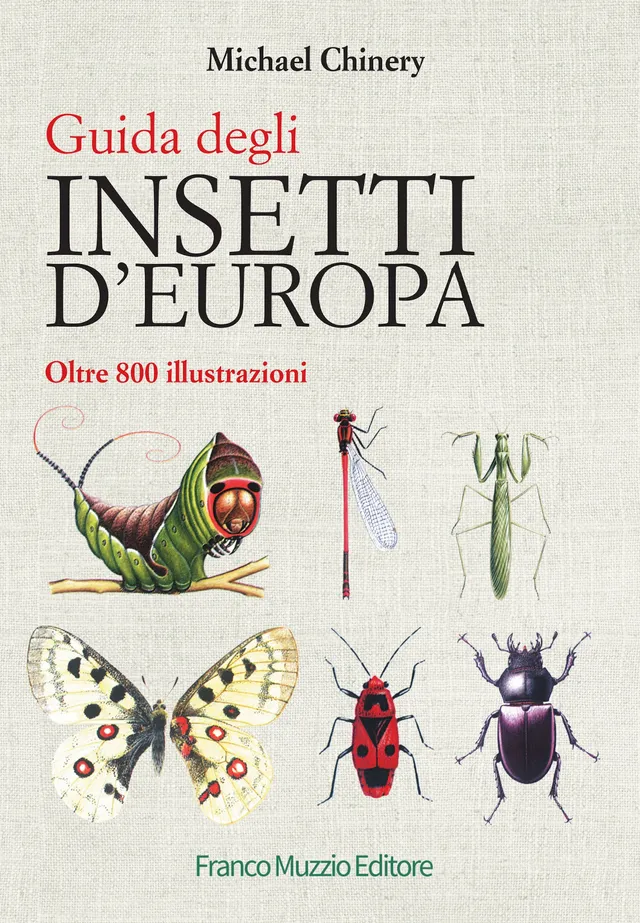 Ricca Insetti e Ragni Guida degli insetti d'Europa libro