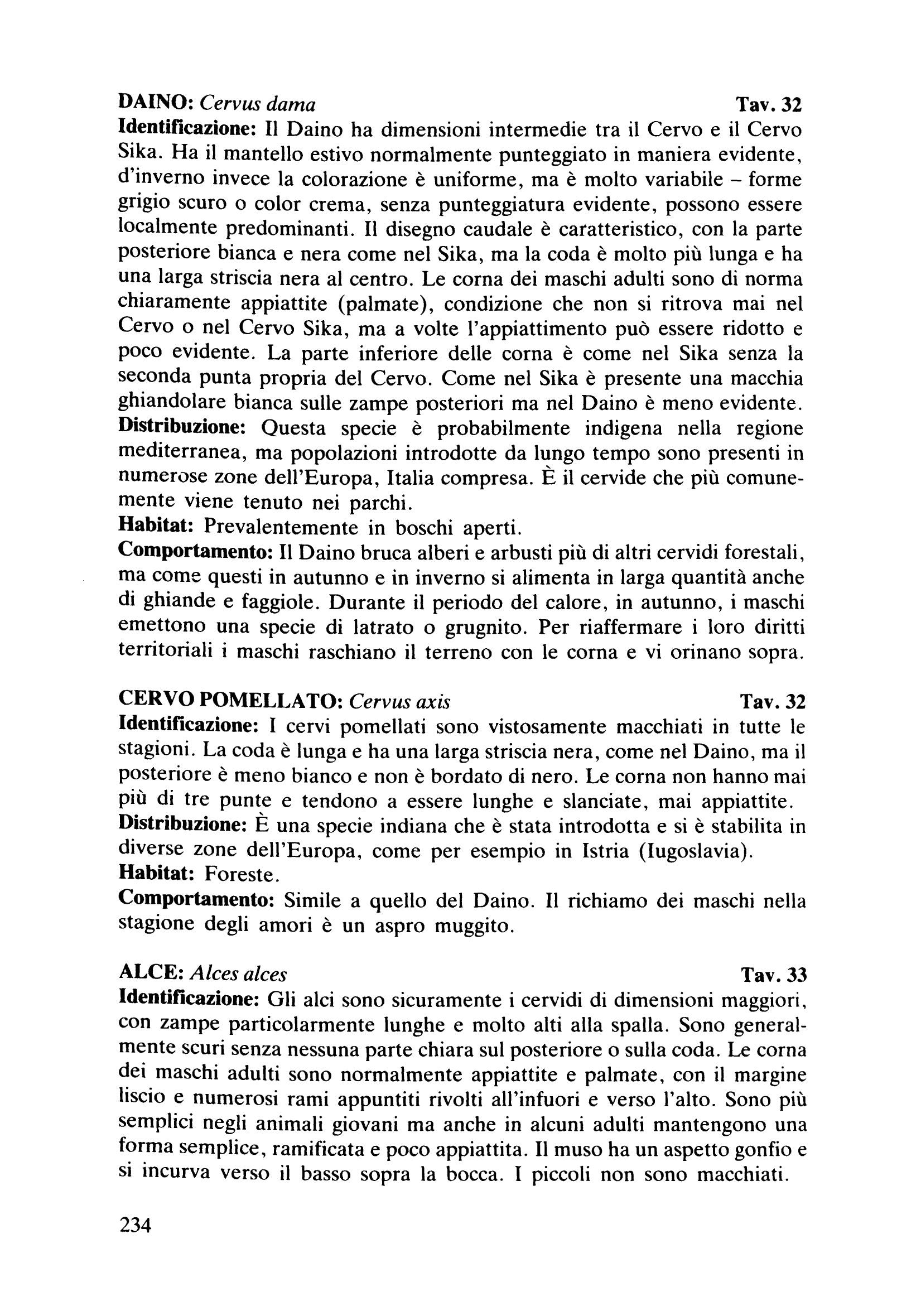Ricca Editore Mammiferi Guida dei mammiferi d'Europa libro tracce