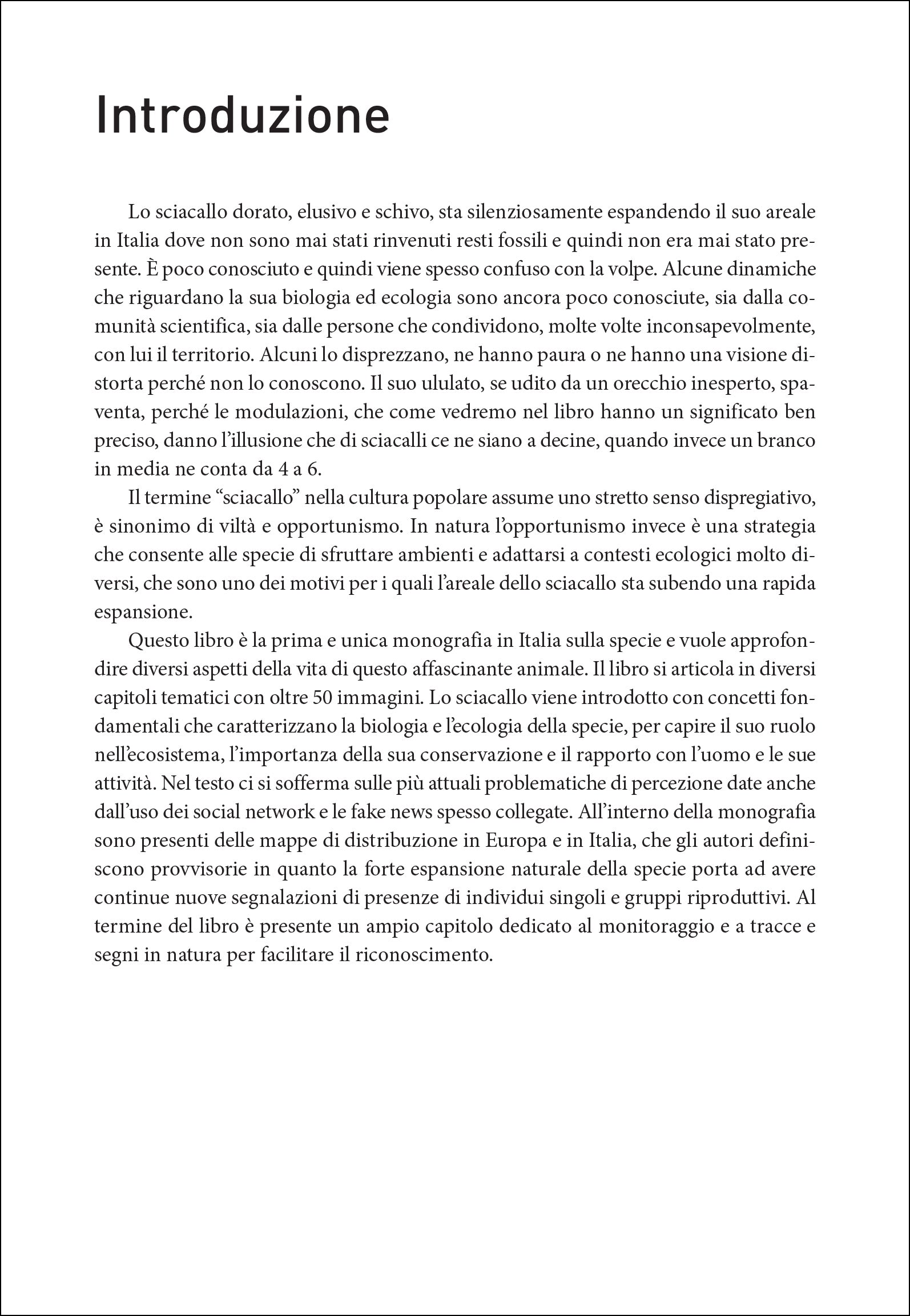 Ricca Editore Mammiferi Lo sciacallo dorato in Italia libro ecologia