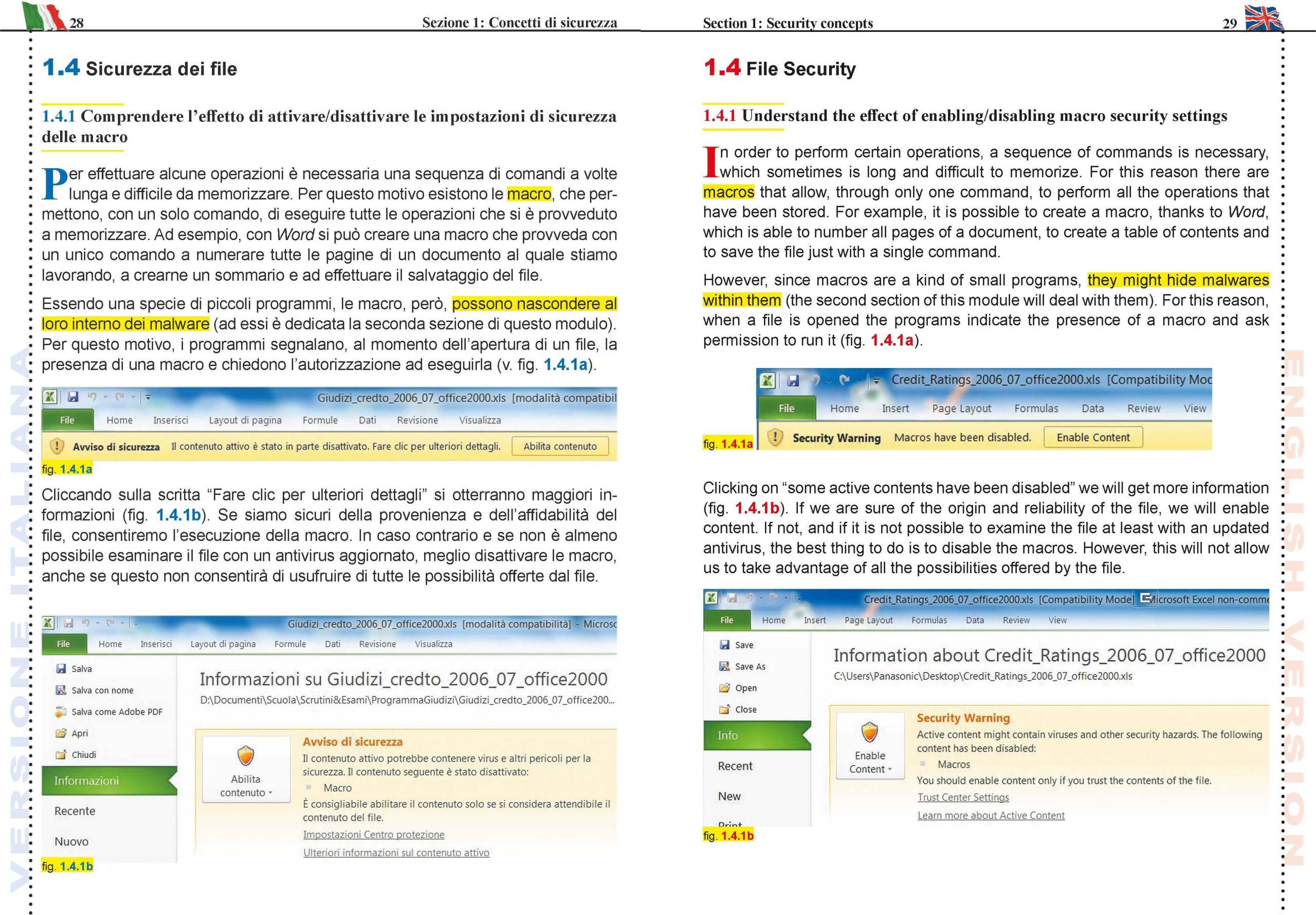 Manna Edizioni ICDL più ECDL IT SECURITY 2.0 for CLIL manuale inglese