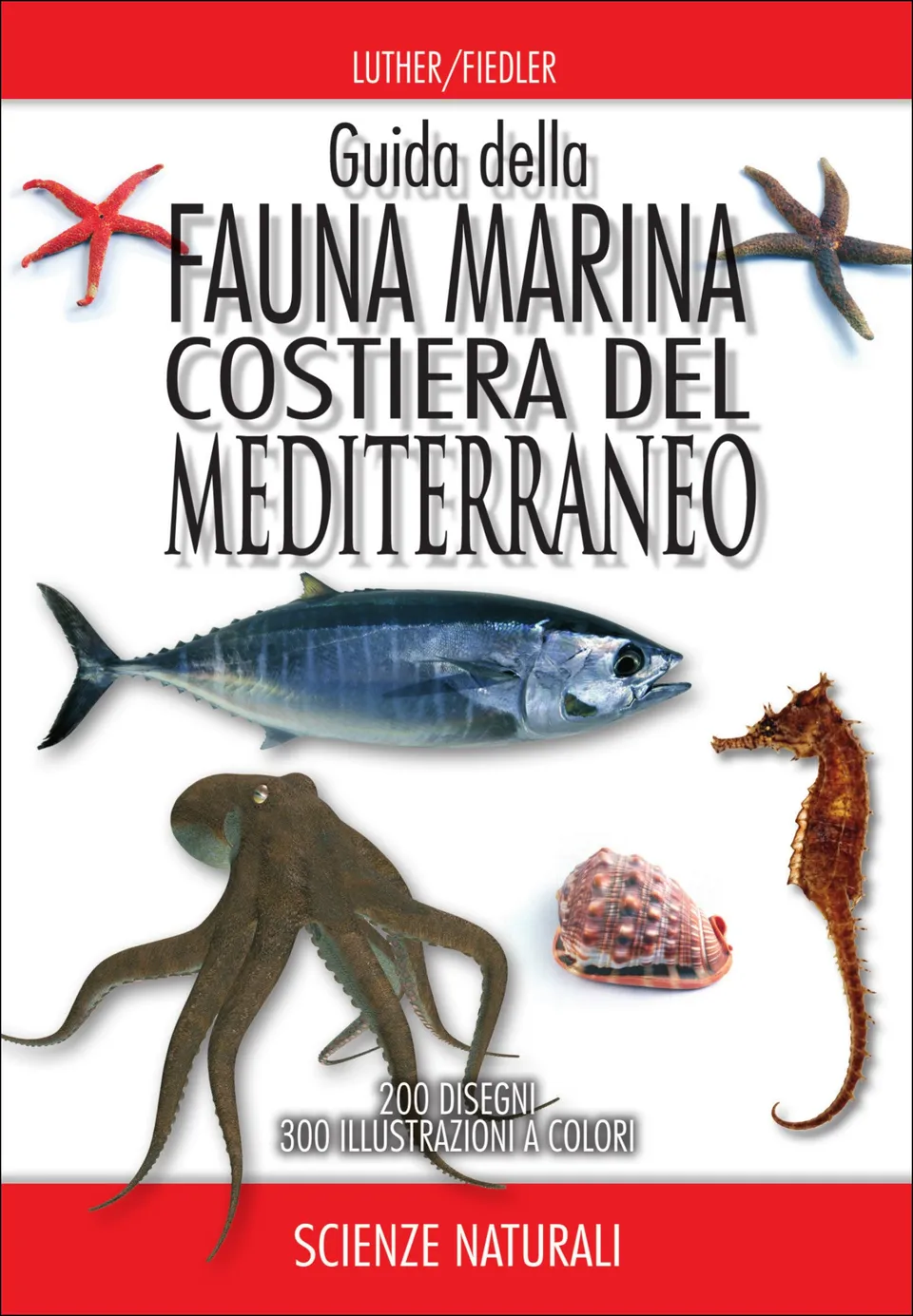 Ricca Editore Fauna marina costiera Mediterraneo guida campo