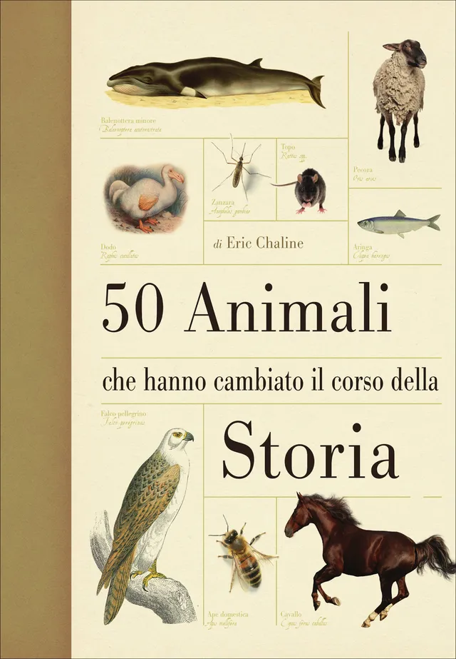 Ricca 50 animali che hanno cambiato la storia saggio