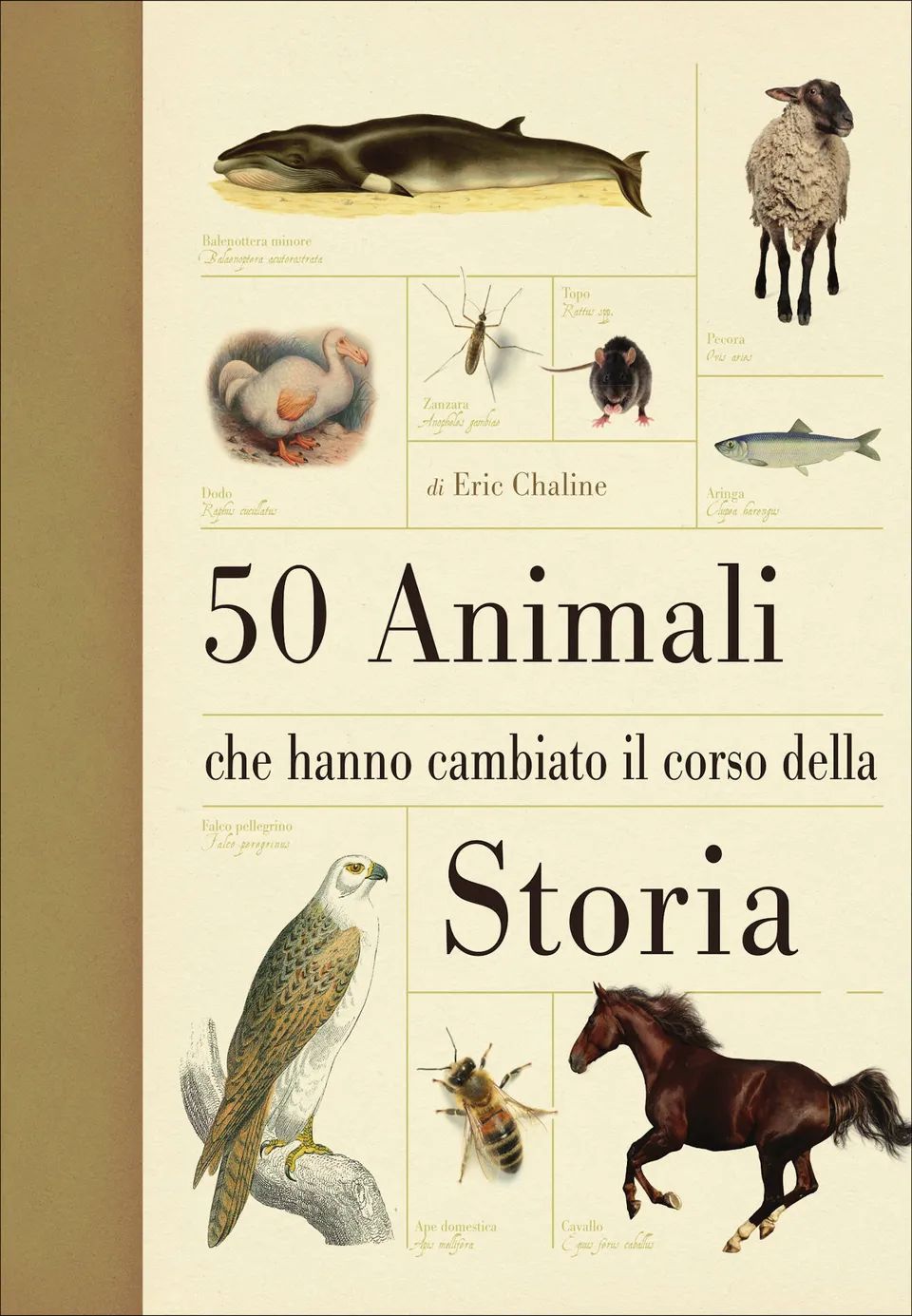 Ricca 50 animali che hanno cambiato la storia saggio