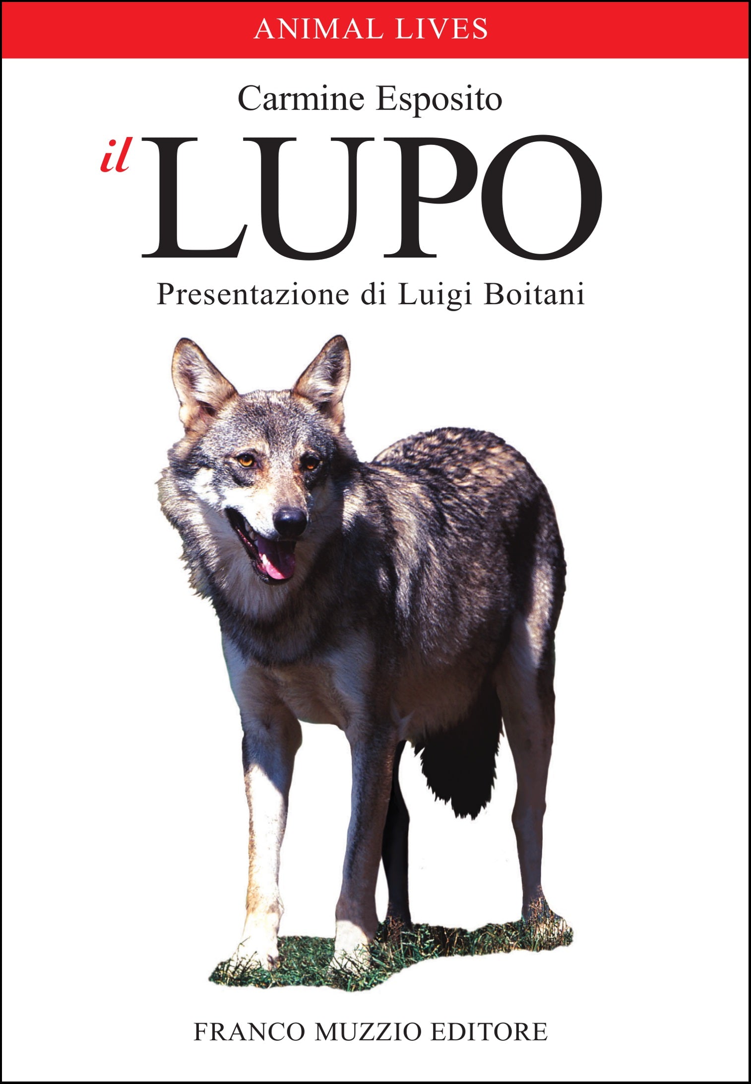 Ricca Editore Mammiferi Il lupo libro fotografico natura