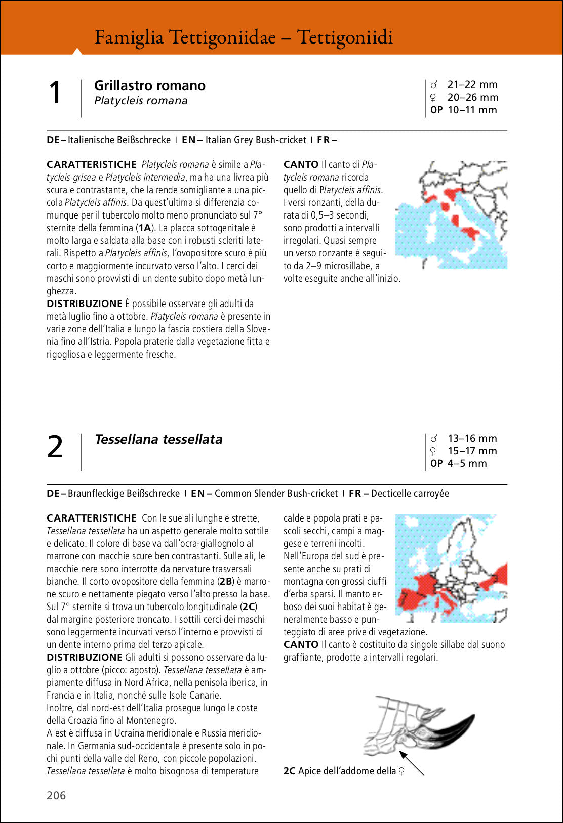 Ricca Editore Insetti Grilli e cavallette d'Europa libro 280 specie