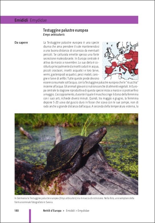 Ricca Rettili e Anfibi d'Europa Guida campo fotografica