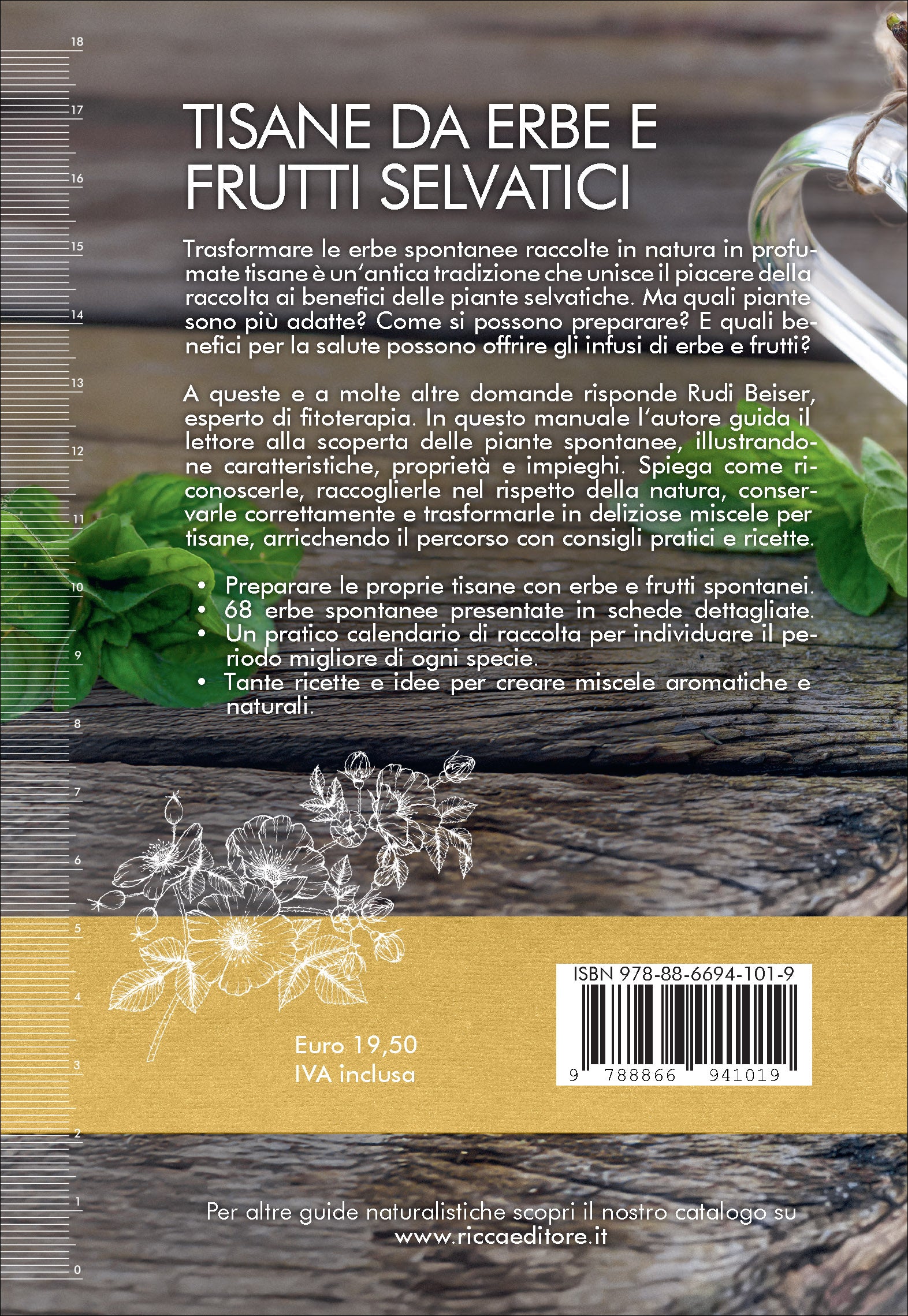 Ricca Scienze Gastronomiche Tisane erbe frutti selvatici manuale Beiser